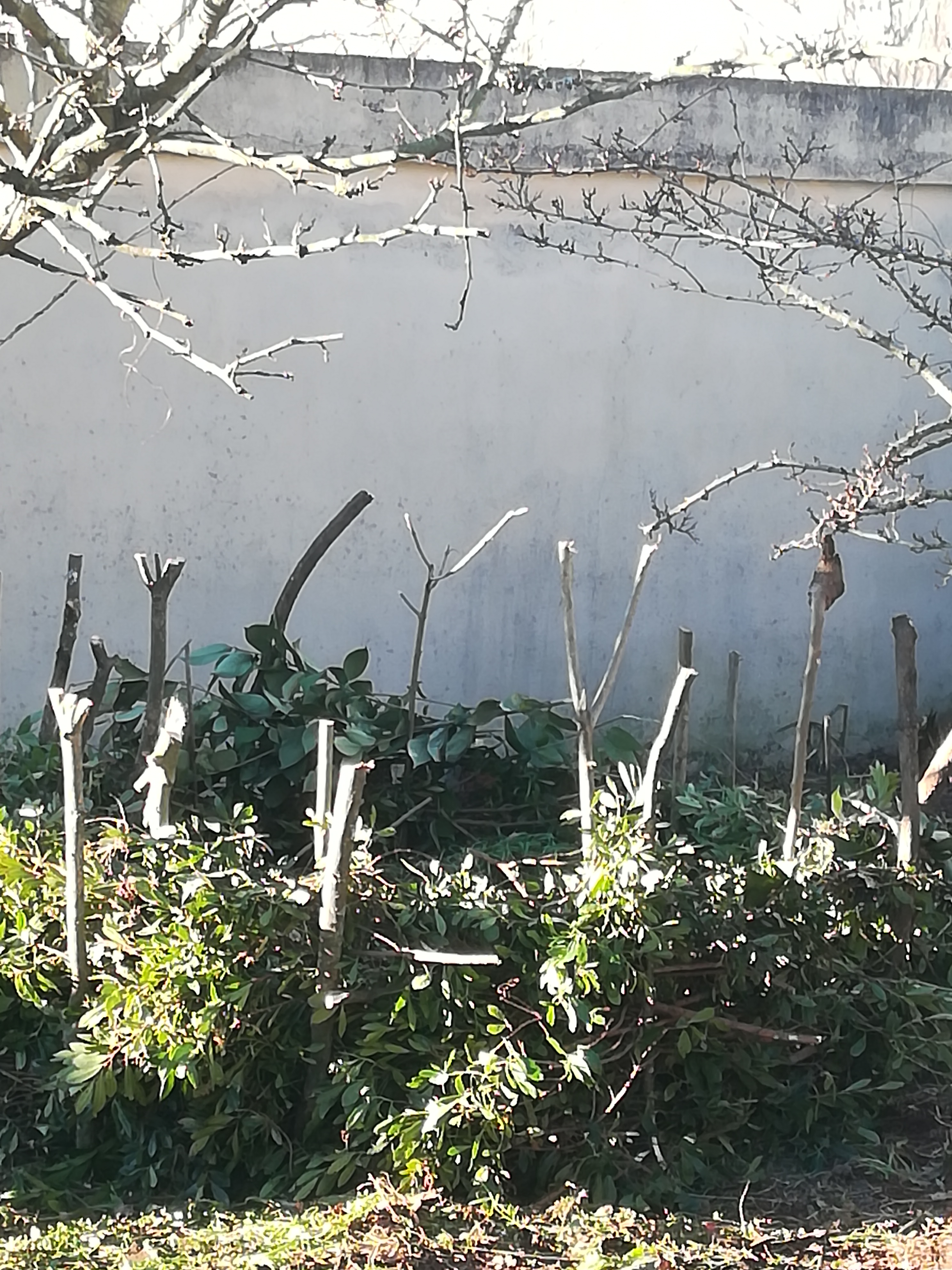 Compostor