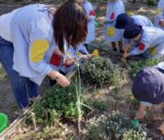 Horta Biológica 6
Tratamento das espécies com material de jardinagem
