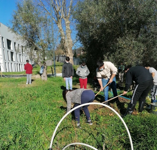 Às segundas-feiras e sextas-feiras é dia de trabalhar na
nossa horta: preparar a terra, tirar as ervas, cavar, semear e
plantar.