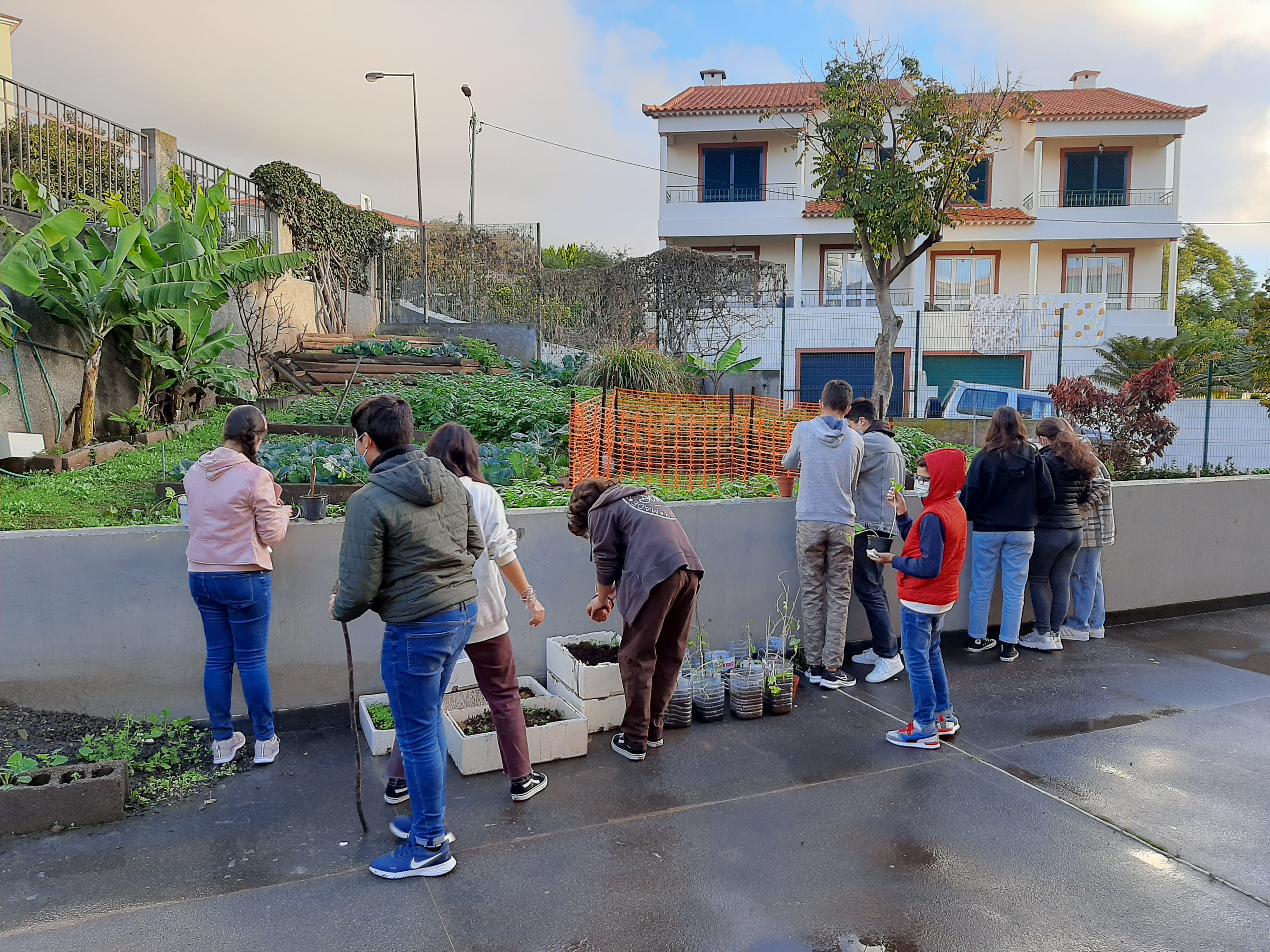 Horta
Limpeza do espaço e preparação do terreno para plantar.