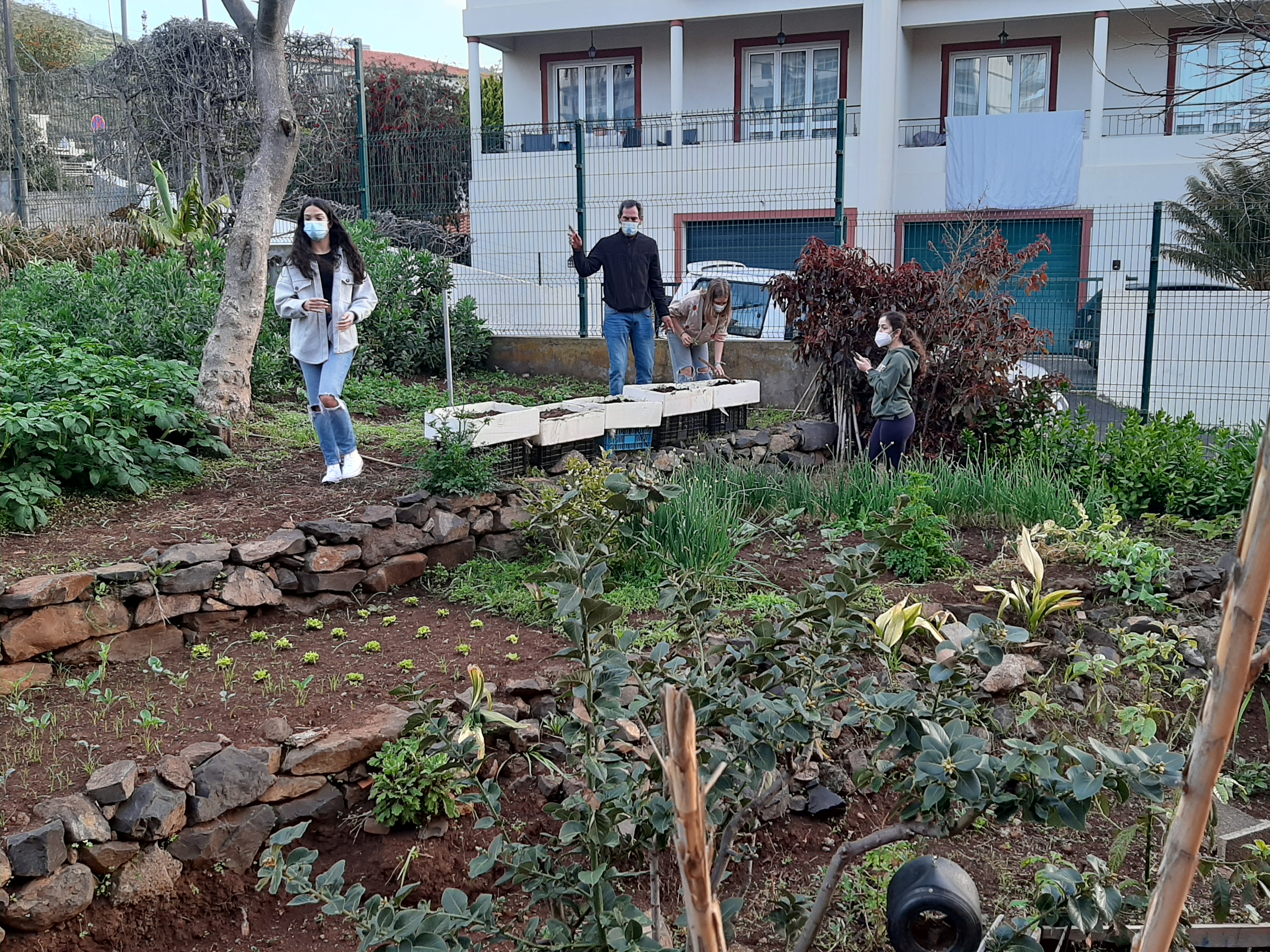 Plantação
Deu-se a possibilidade a diversos alunos de experimentar as técnicas de plantio