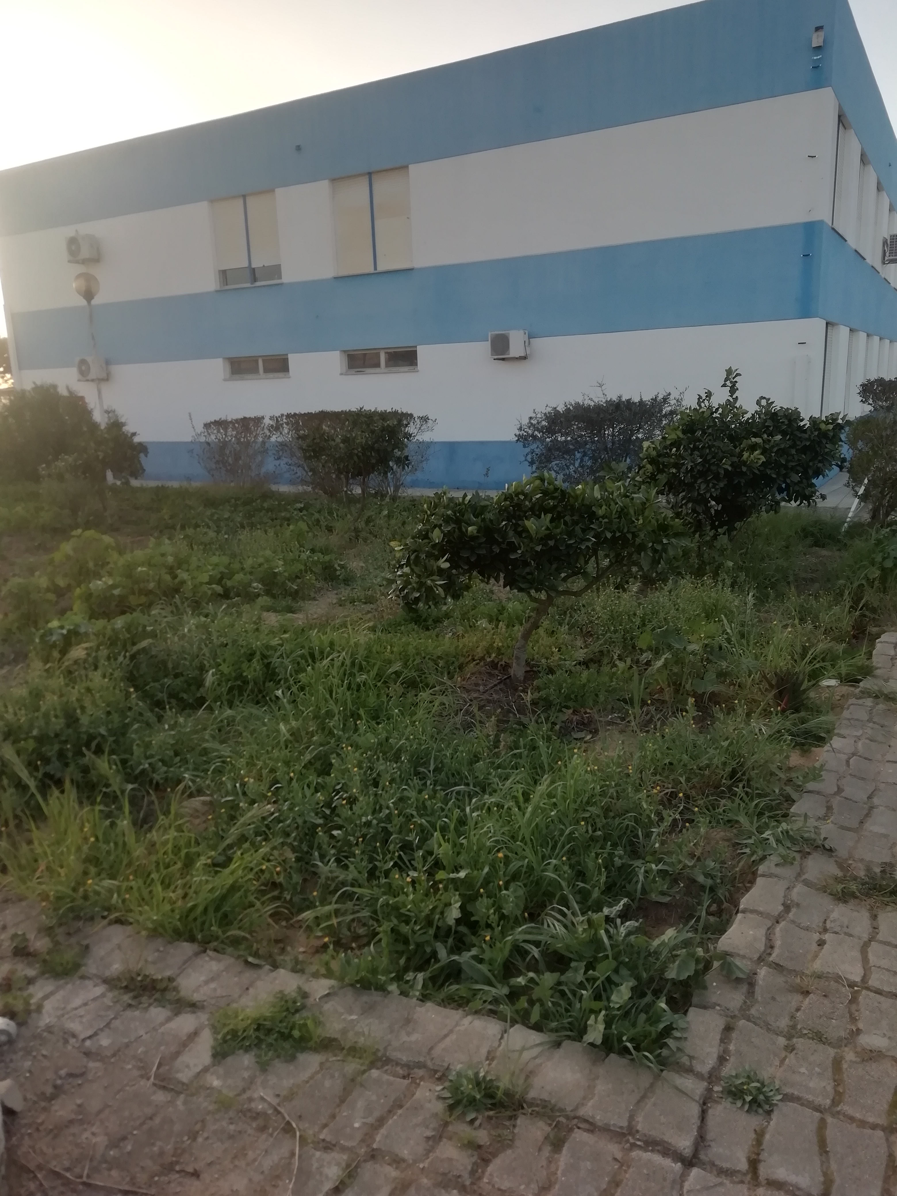 Escolha do espaço para a nossa BioHorta
