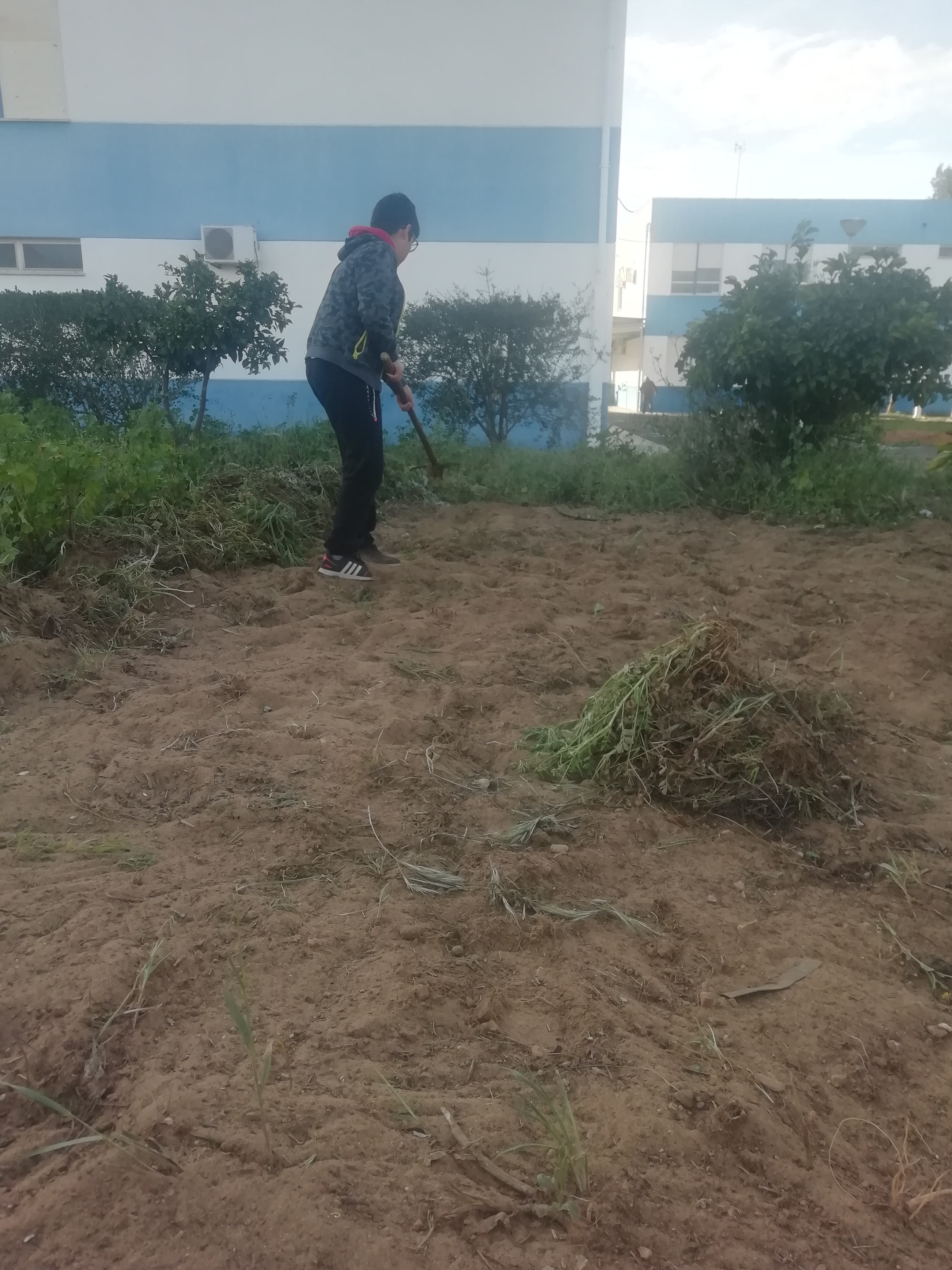 Limpar terreno