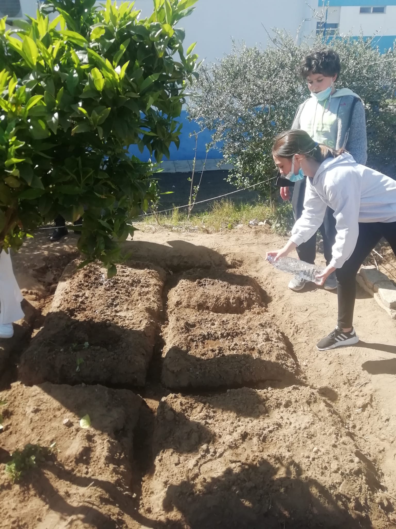 Desenvolvimento de atividades na horta