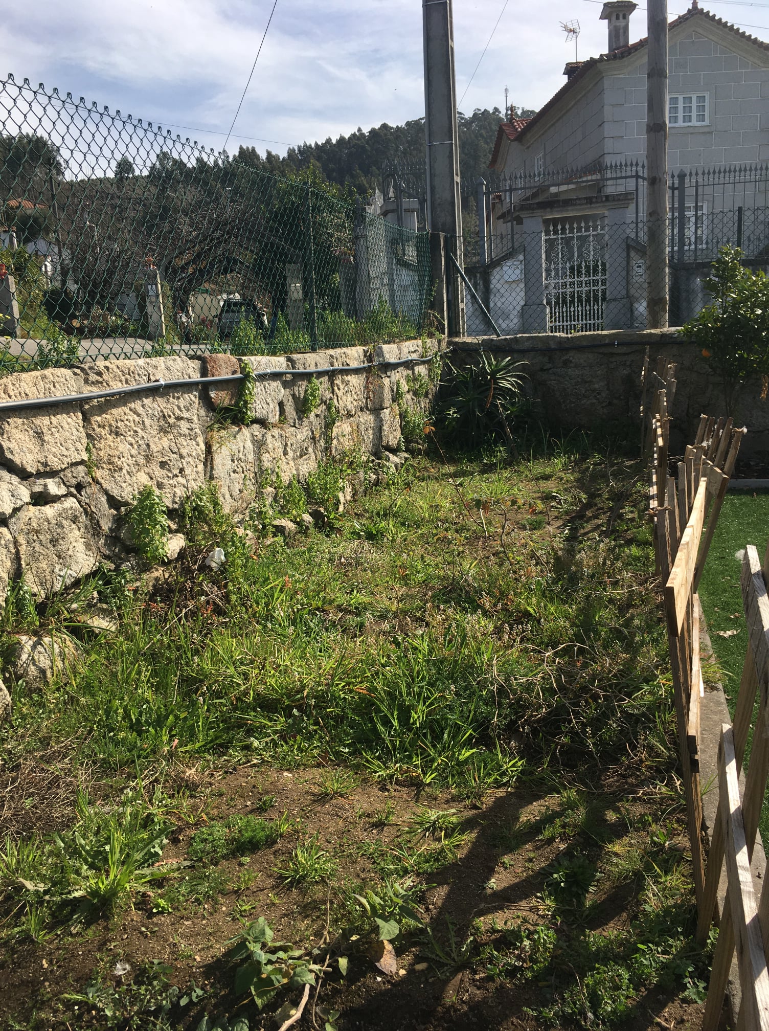 Horta1-Limpeza