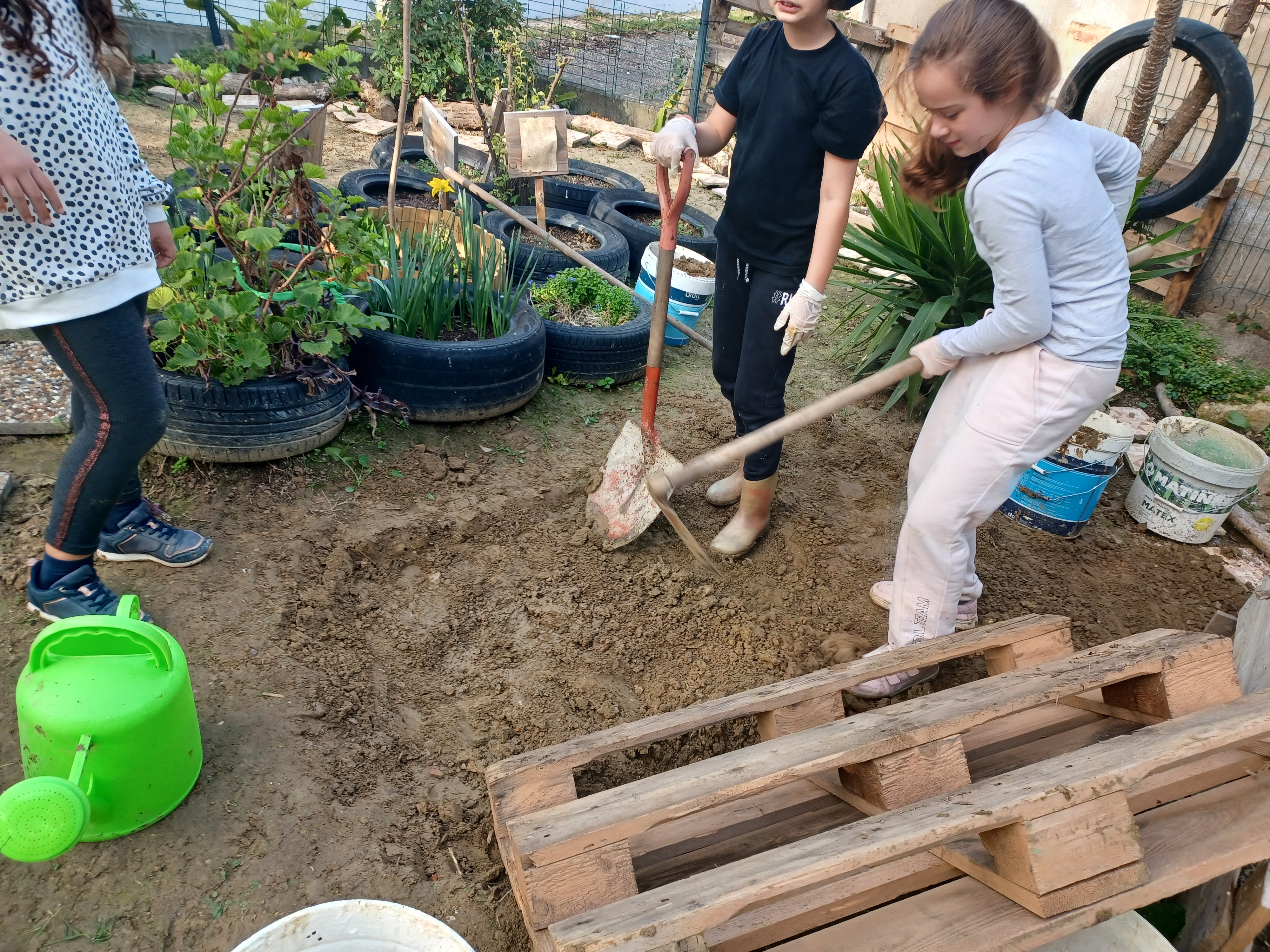 Os alunos fizeram uma mobilização de solo, de modo a prepará-lo para receber novas culturas.