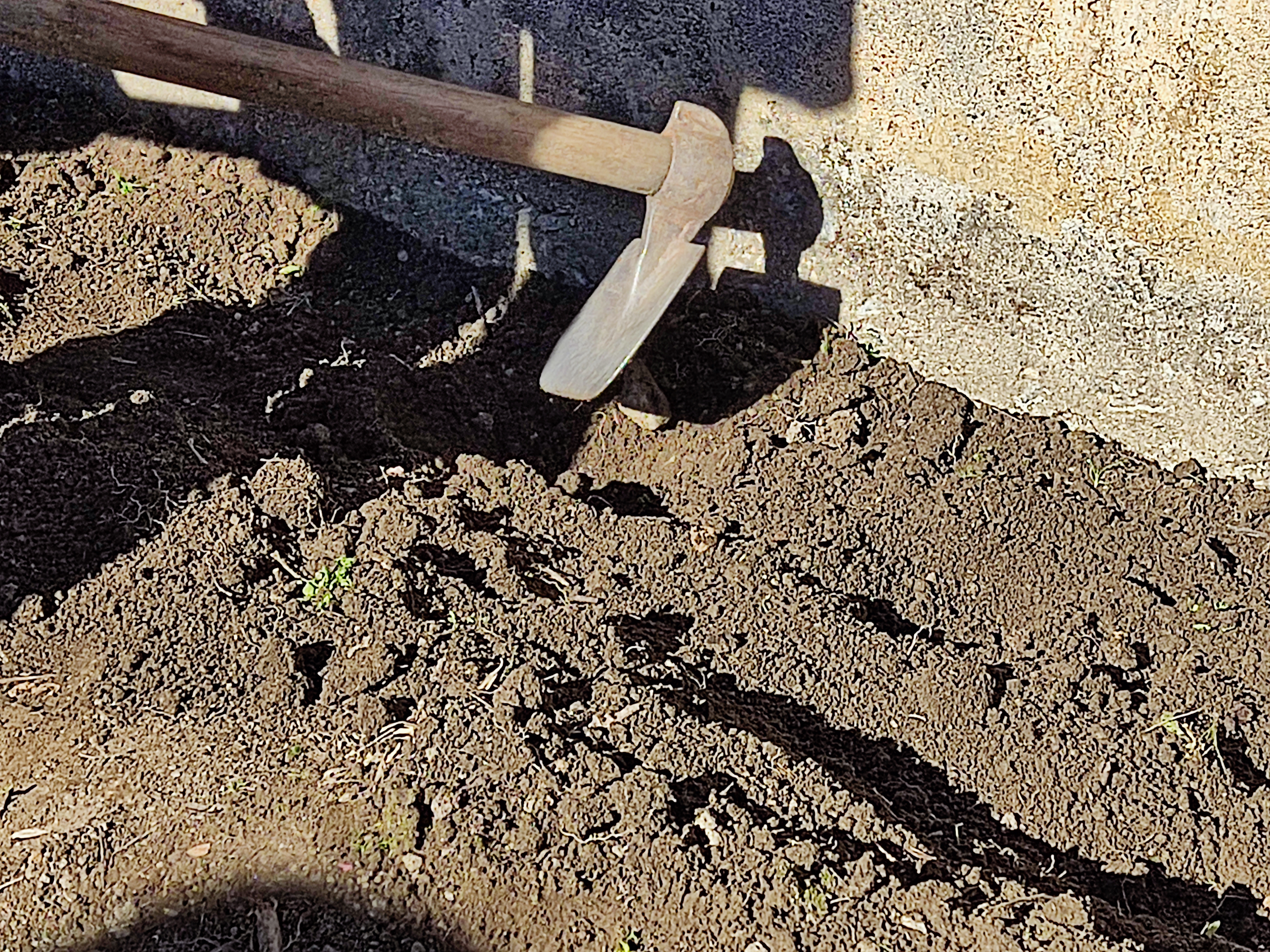 O amanho do terreno.