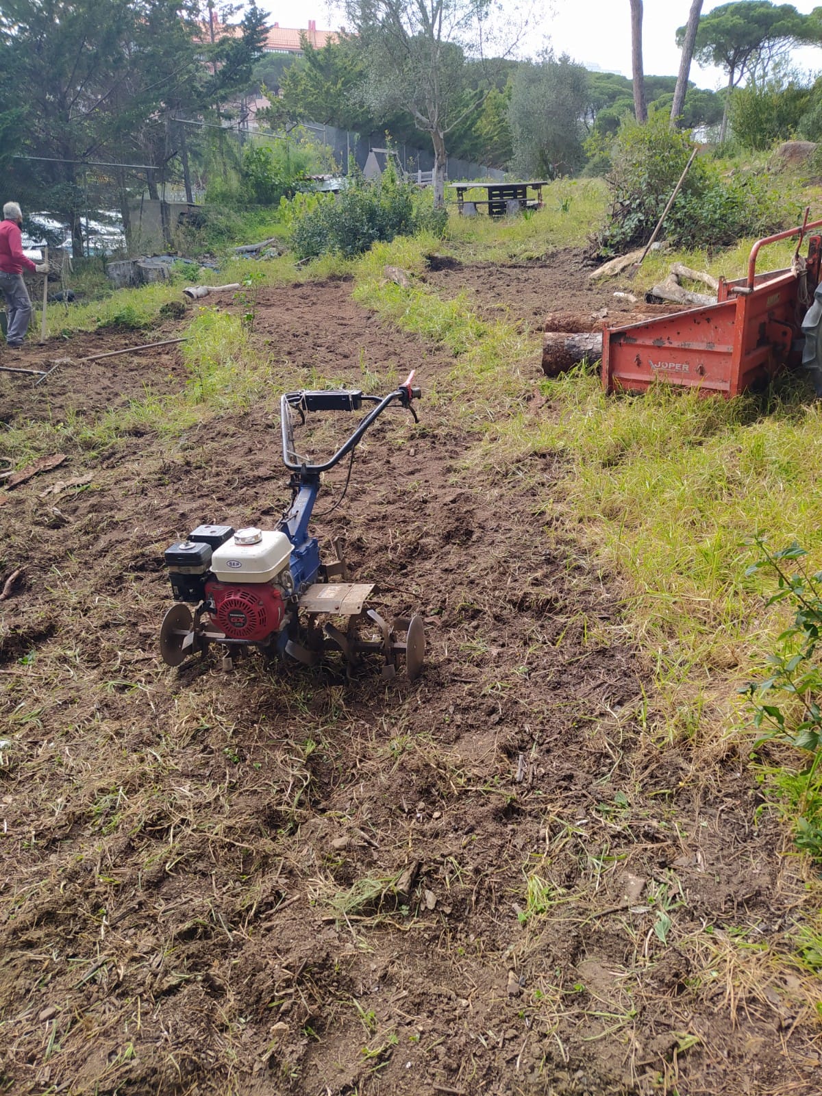 Preparação do Terreno 2