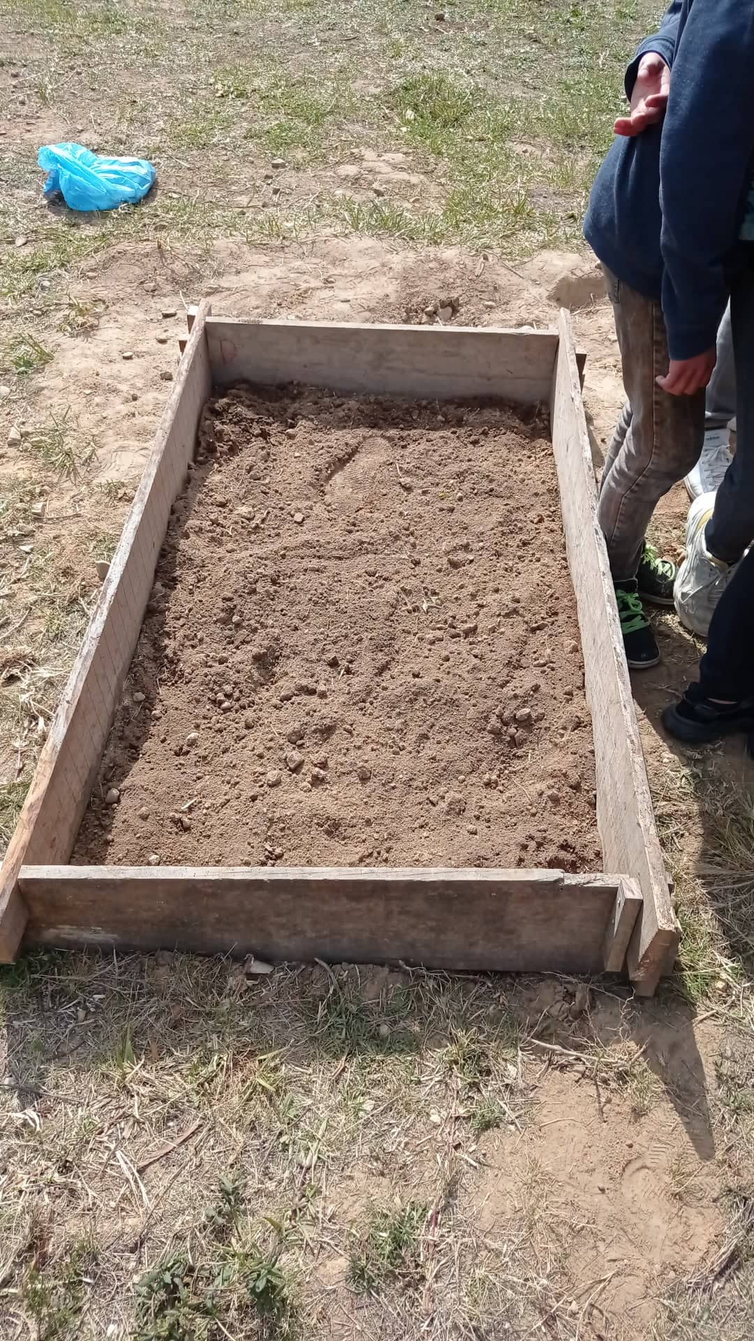 Criação da horta Biológica em parceria com a Junta de Freguesia de Milagres 
A junta de freguesia entregou uma carrinha de terra, e os alunos construíram os canteiros com madeira reutilizada.
Semearam abóbora, pepinos e couves. 
Plantaram alfaces e tom