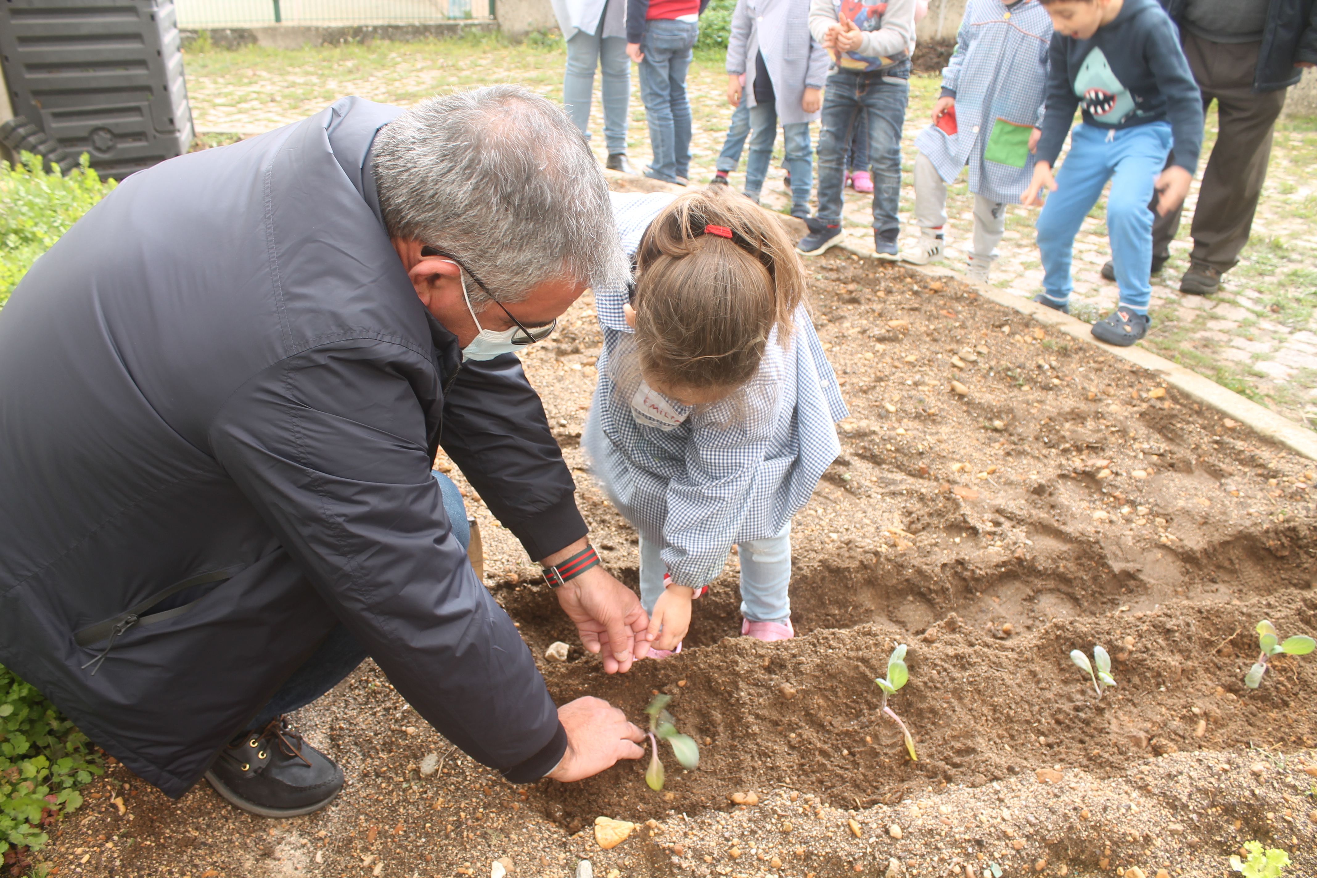 Plantação com as famílias.