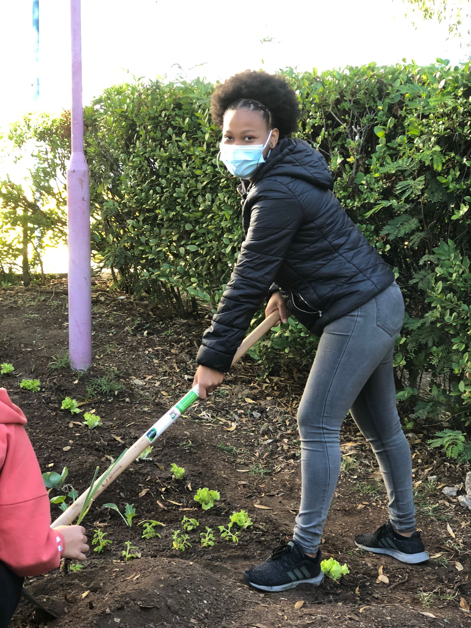 Plantação e preparação do terreno da horta.