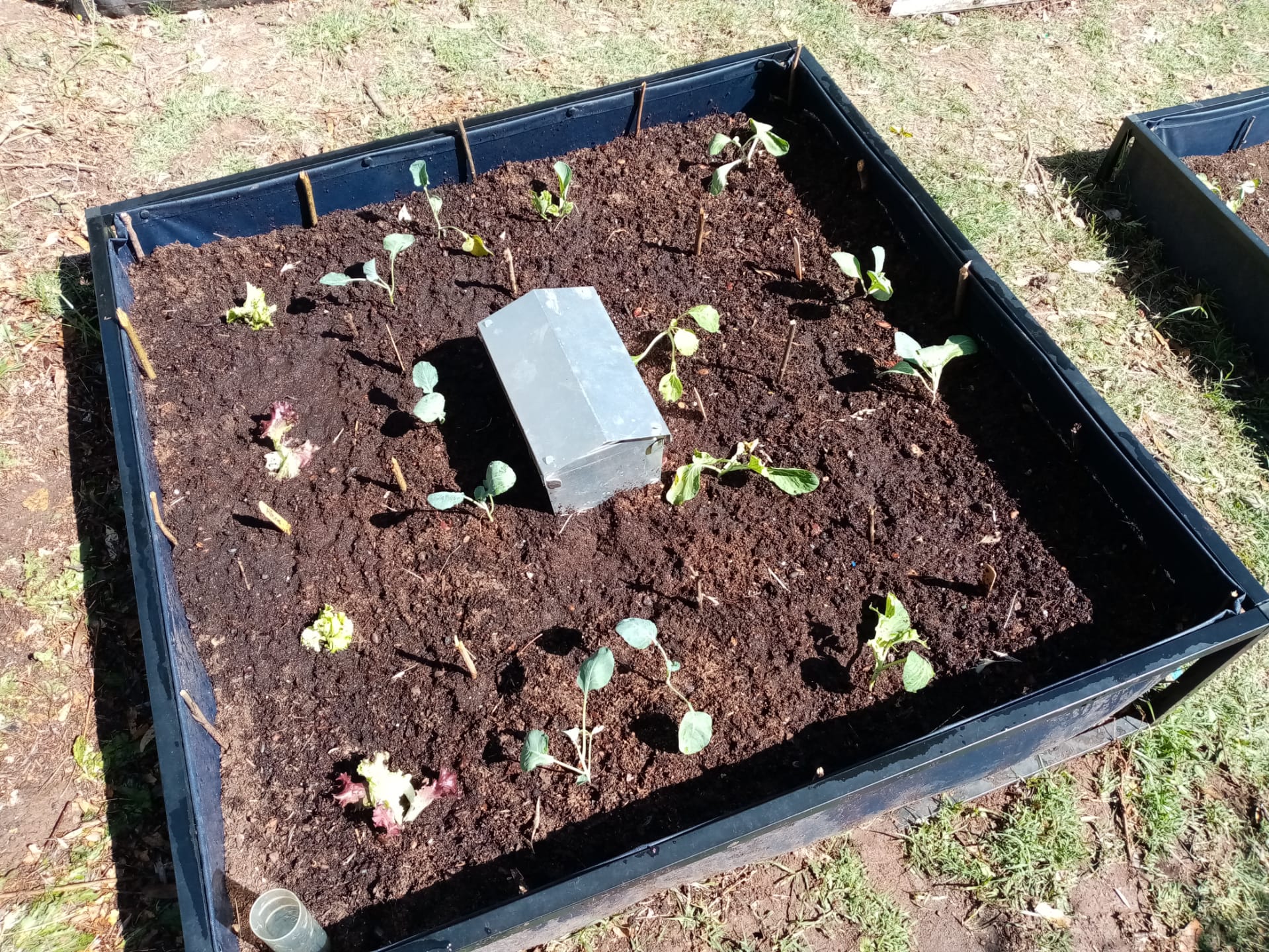 Growbed.