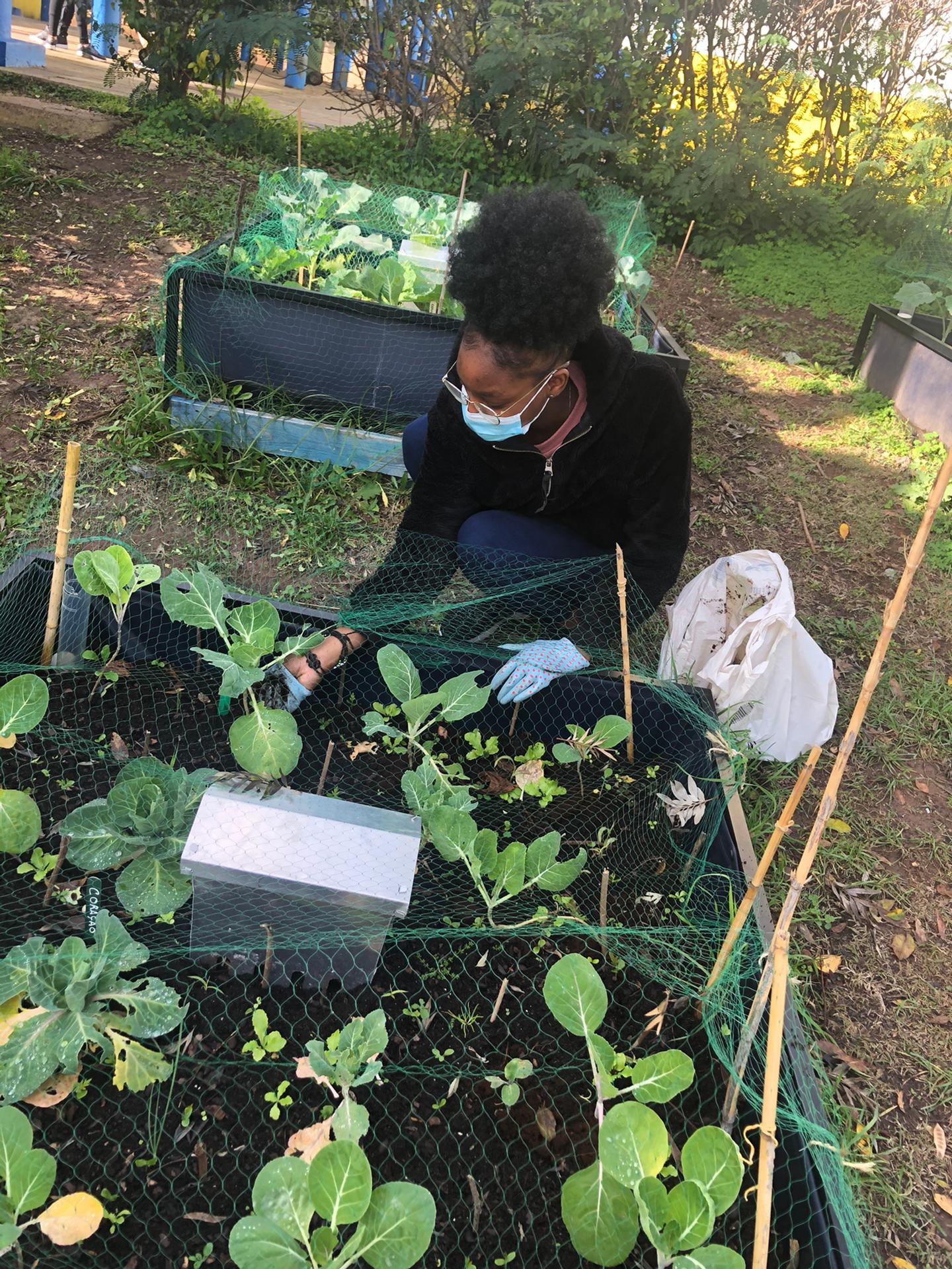 Manutenção da growbed.