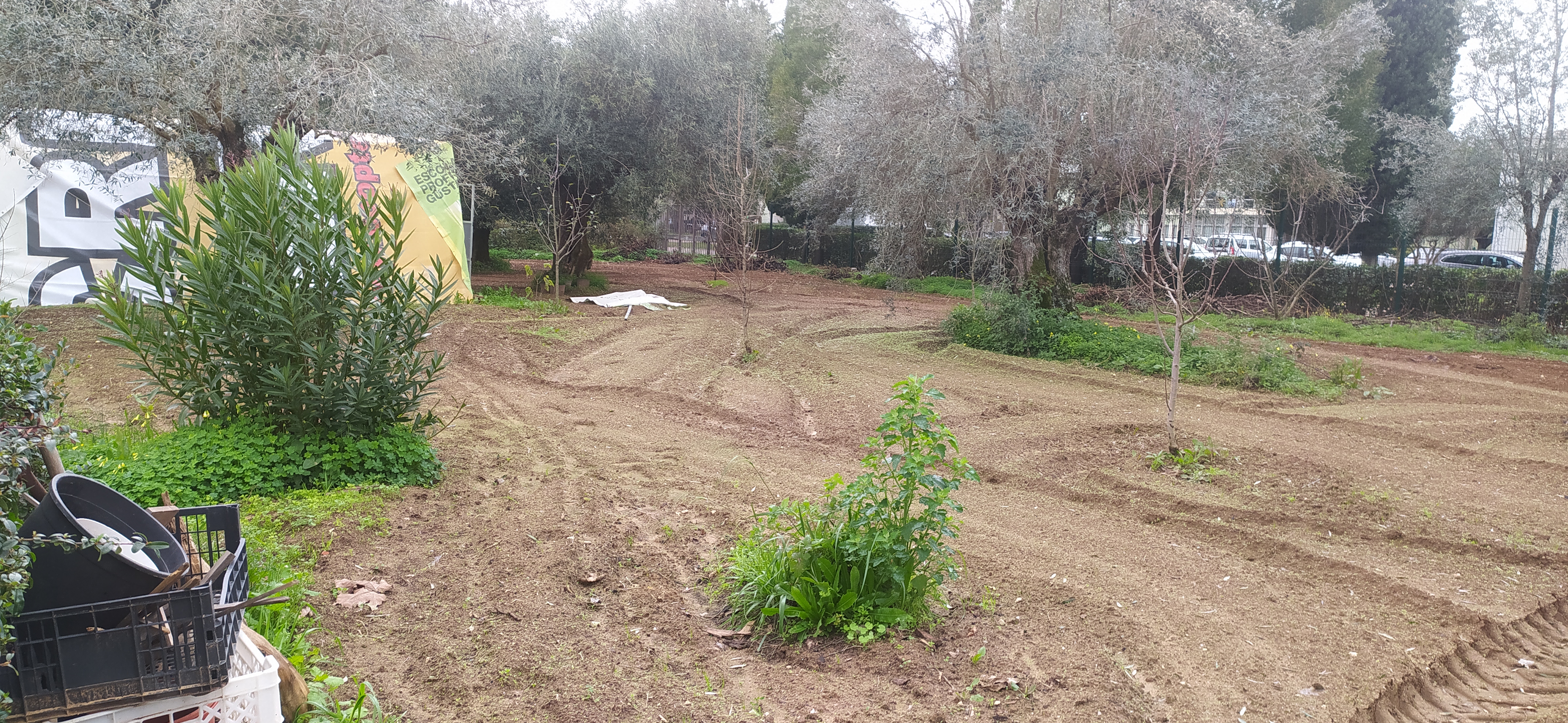 Preparação do campo da horta_ atrás da estufa_2