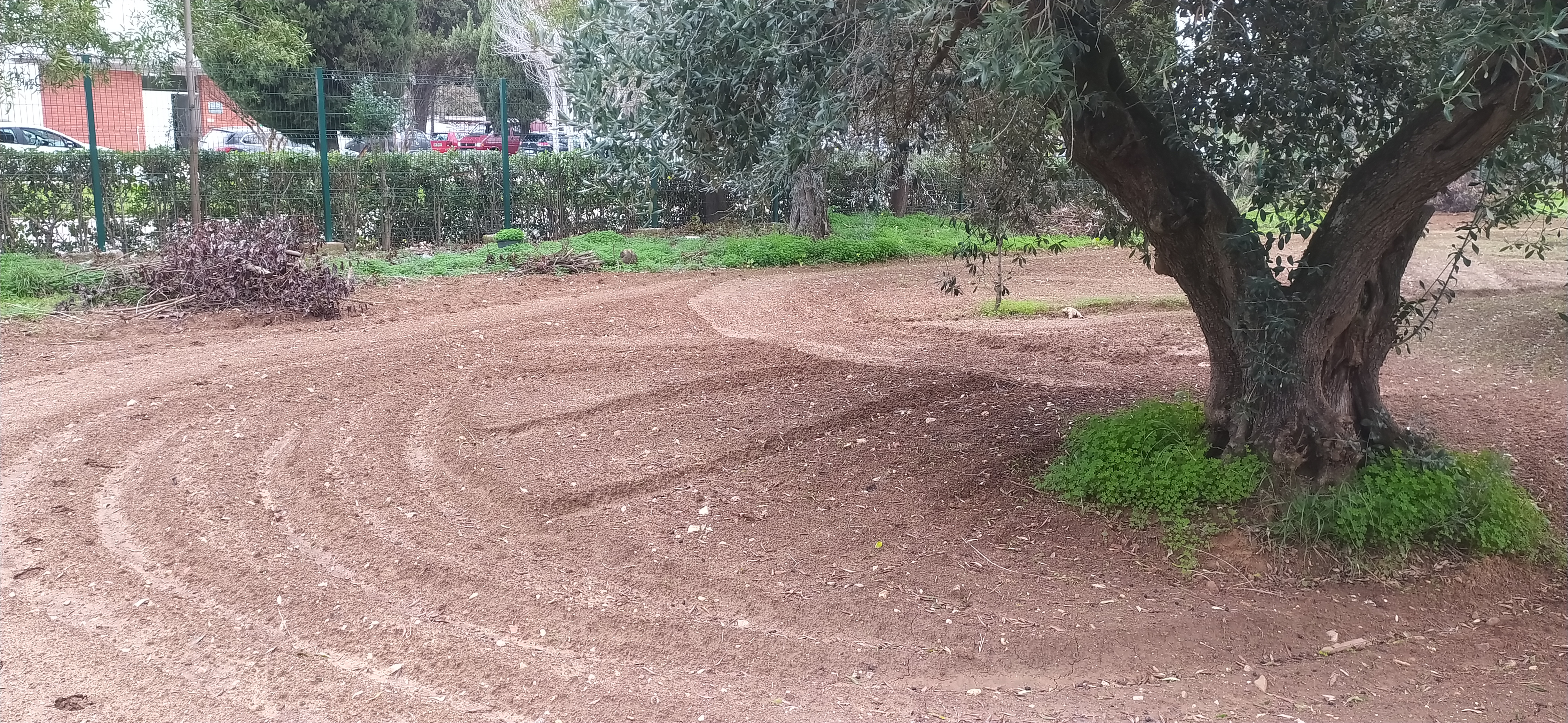 Preparação do campo da horta_4