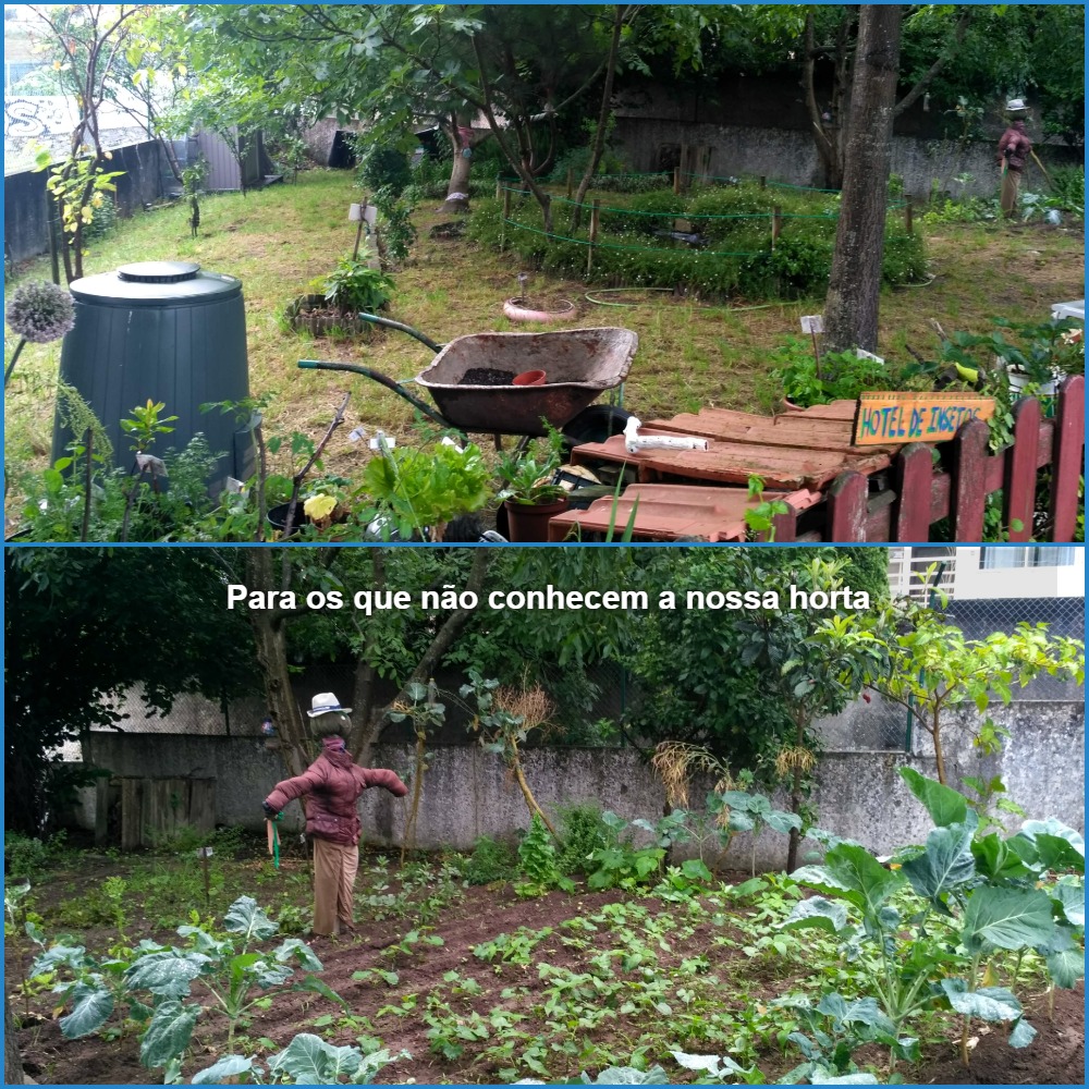 Panorâmica da horta. Área de cultivo e de descoberta.