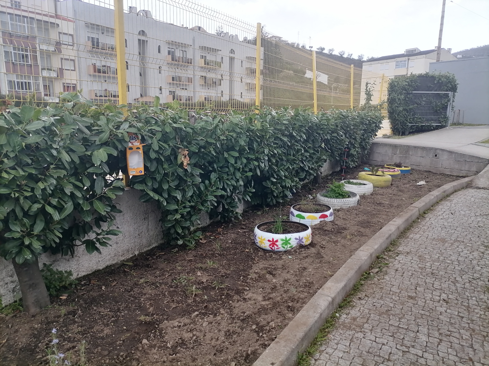 Zona das ervas aromáticas