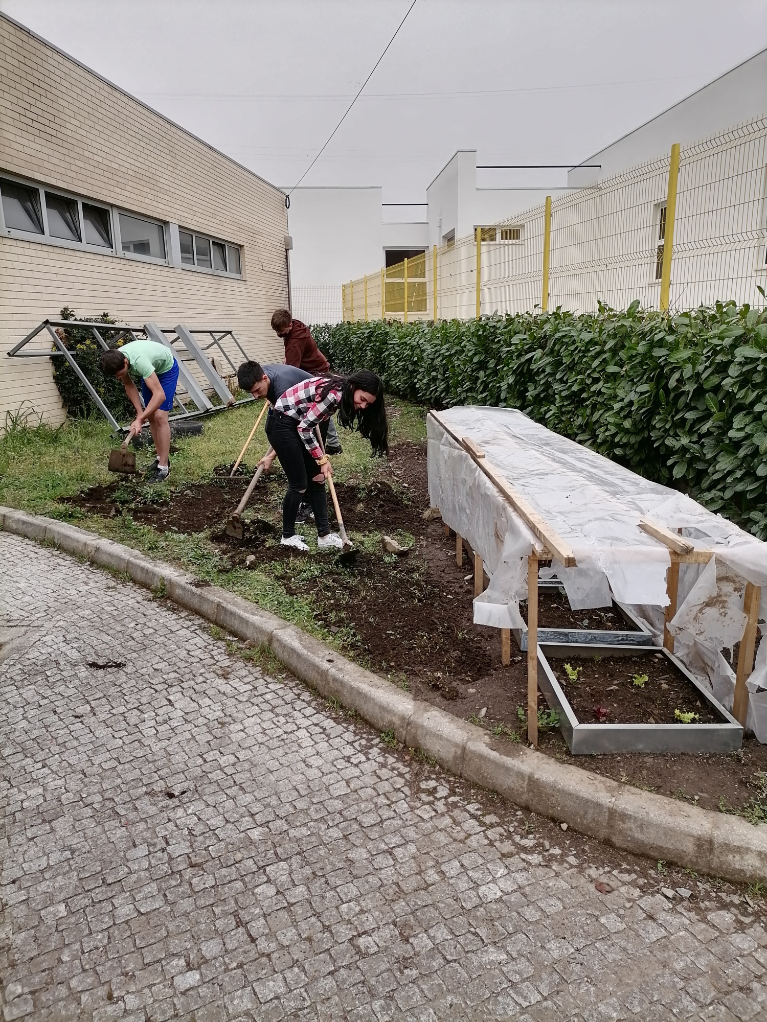 Preparação de mais solo para plantar
