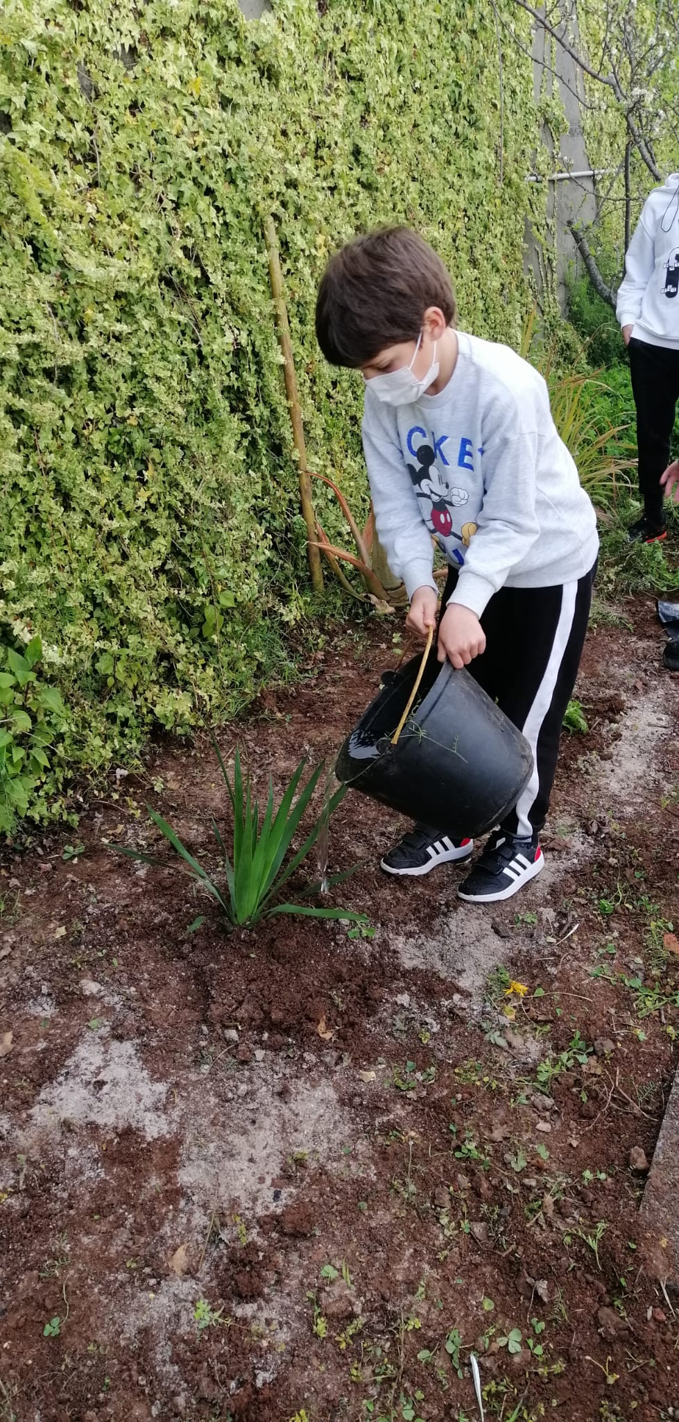 Depois de plantar é tempo de regar as nossas plantas