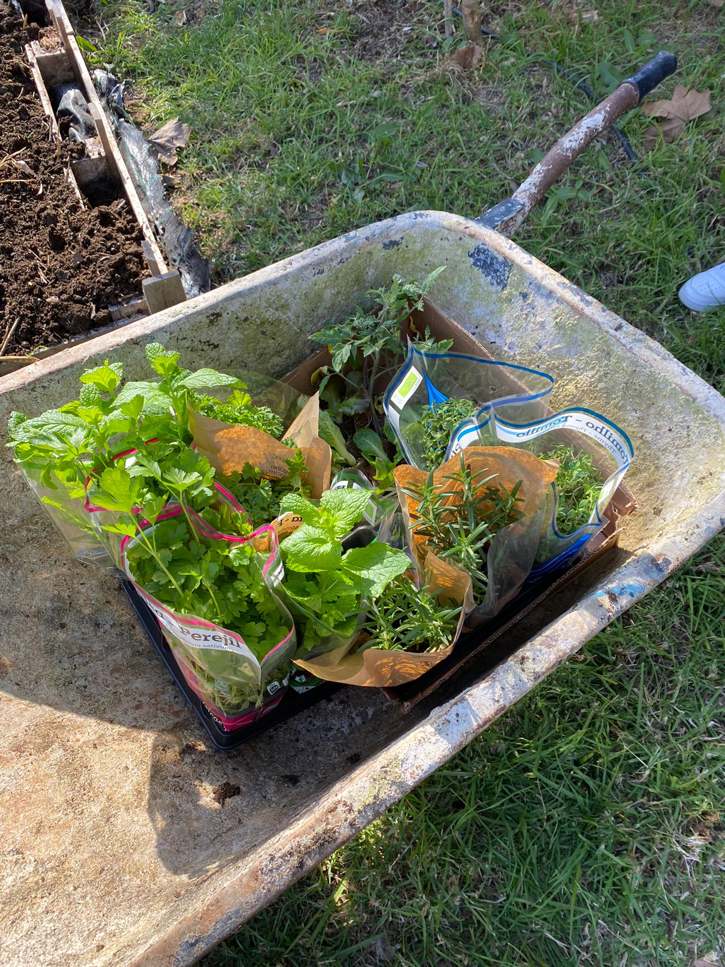 Produtos a cultivar