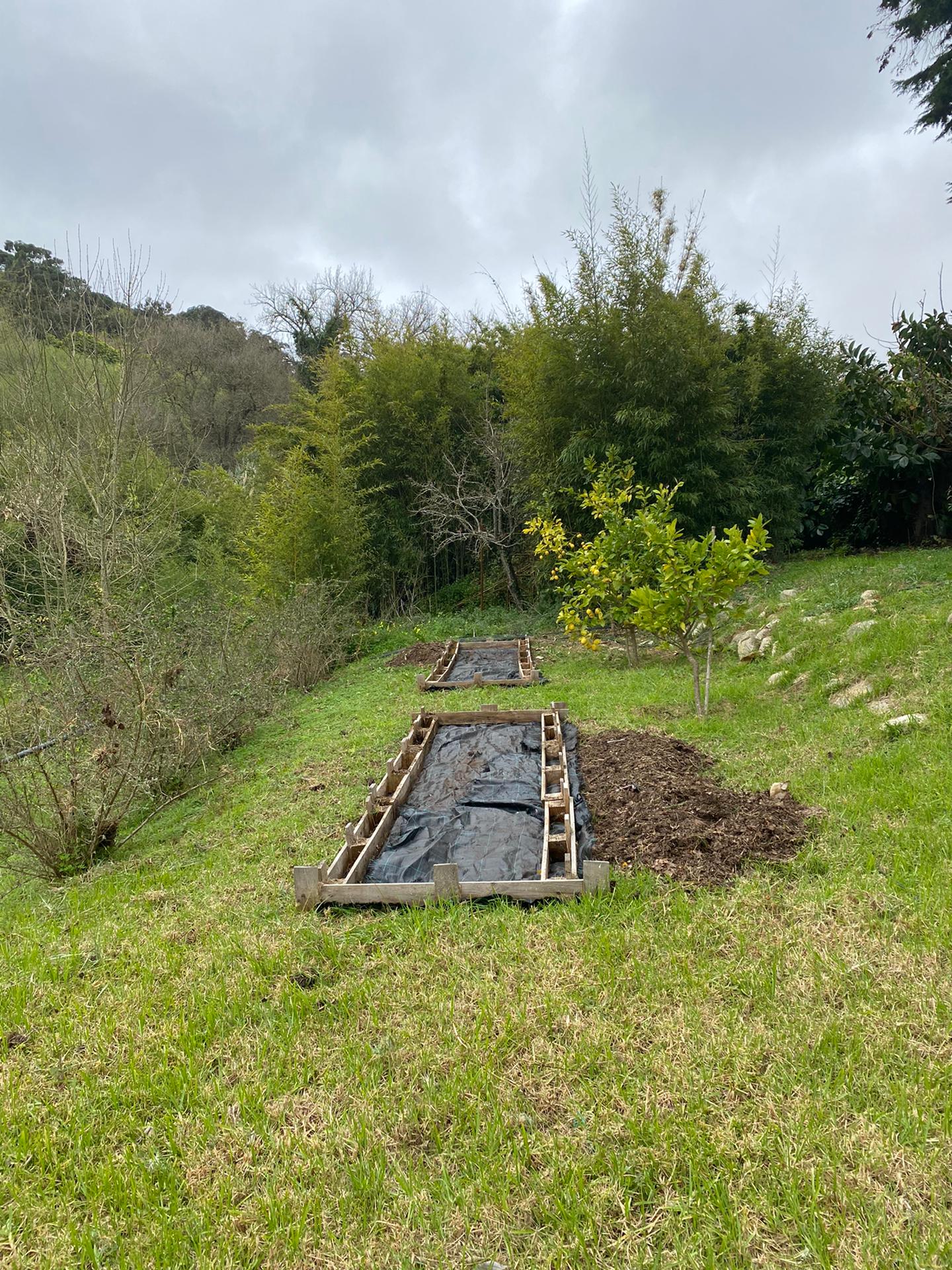 Inicio da limpeza da nossa horta