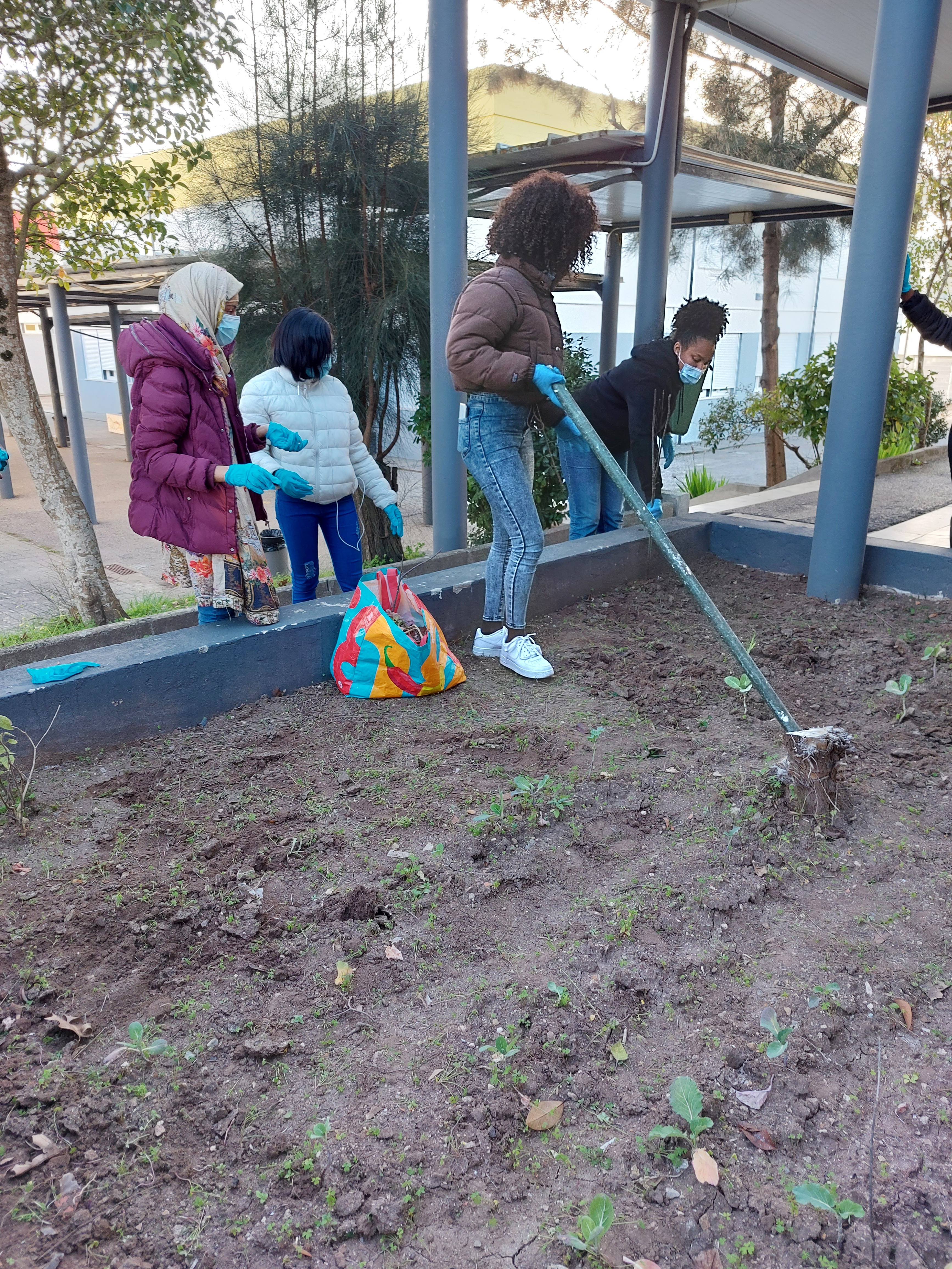 Vamos dar vida e cor à nossa horta