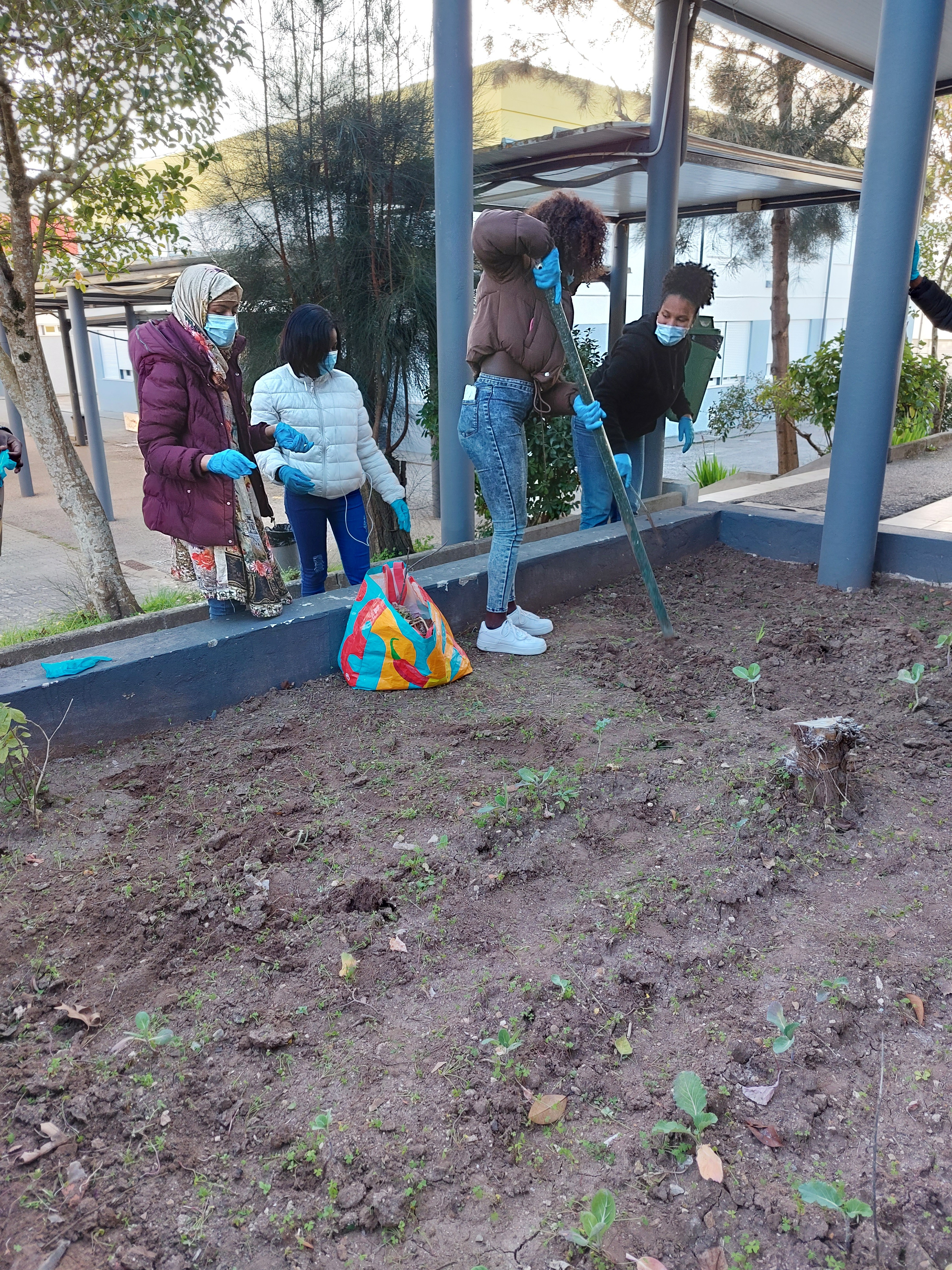 Vamos dar vida e cor à nossa horta
