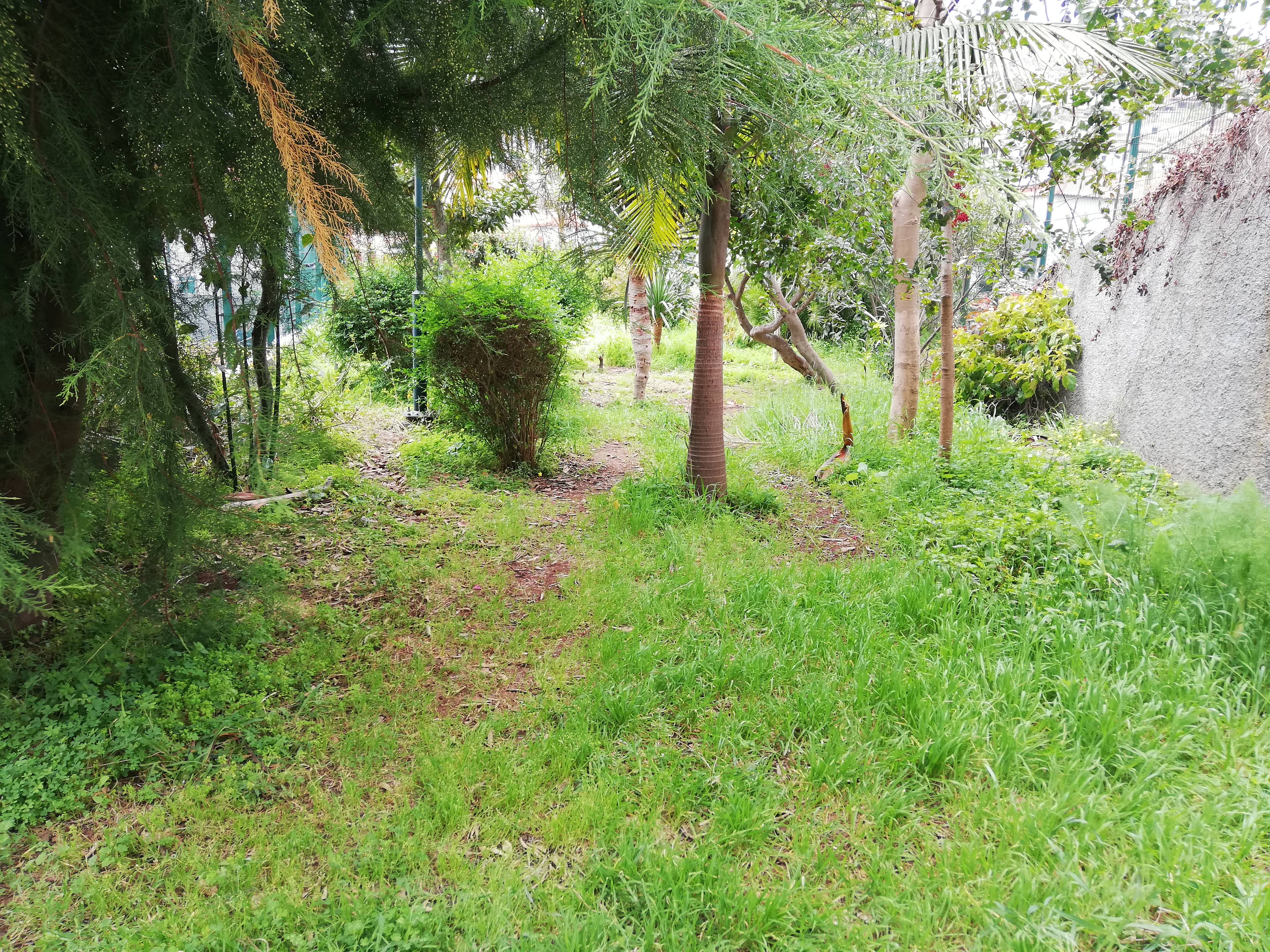 Espaço antes da tratamento do terreno 1