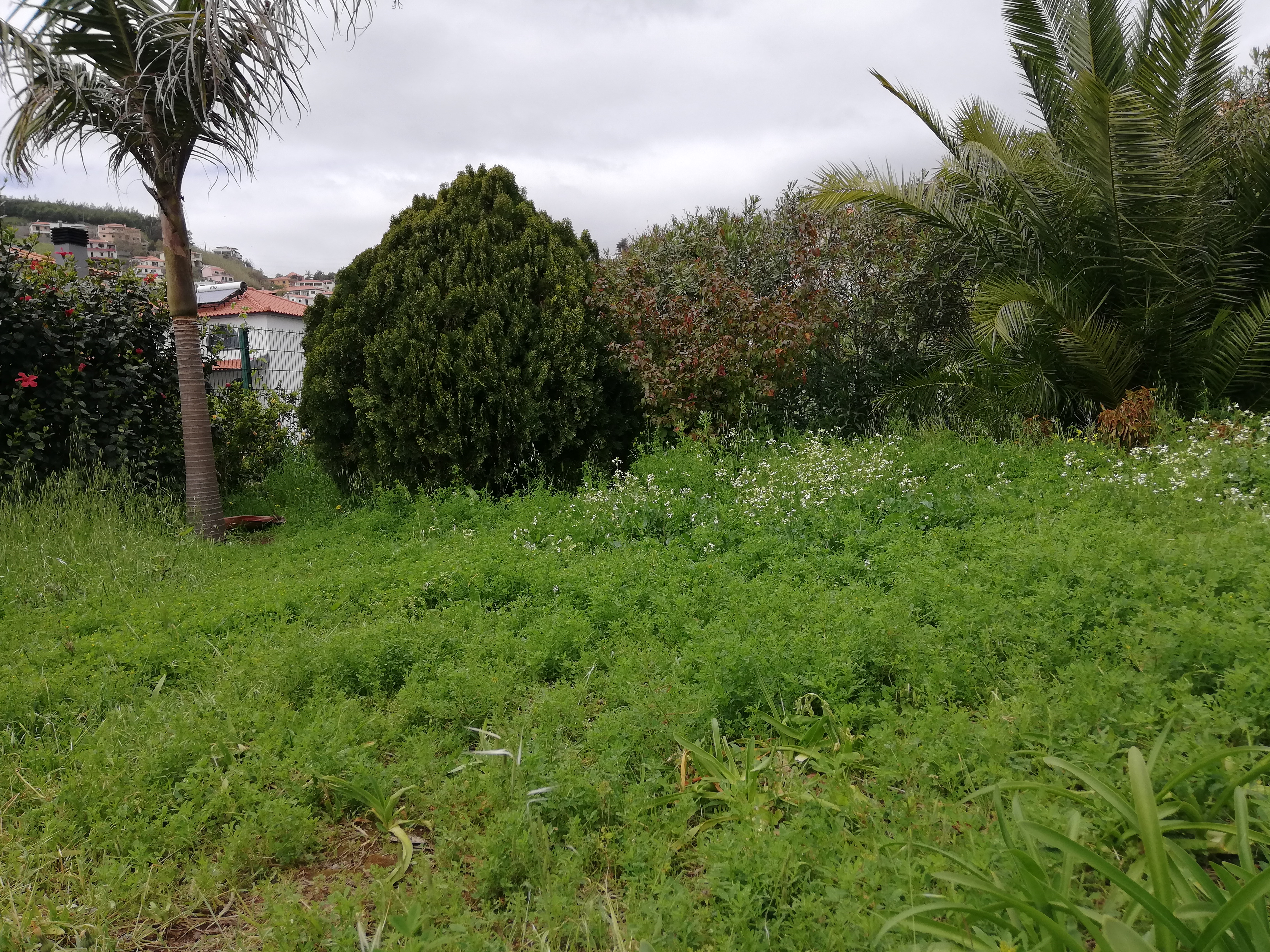 Espaço antes da tratamento do terreno 3