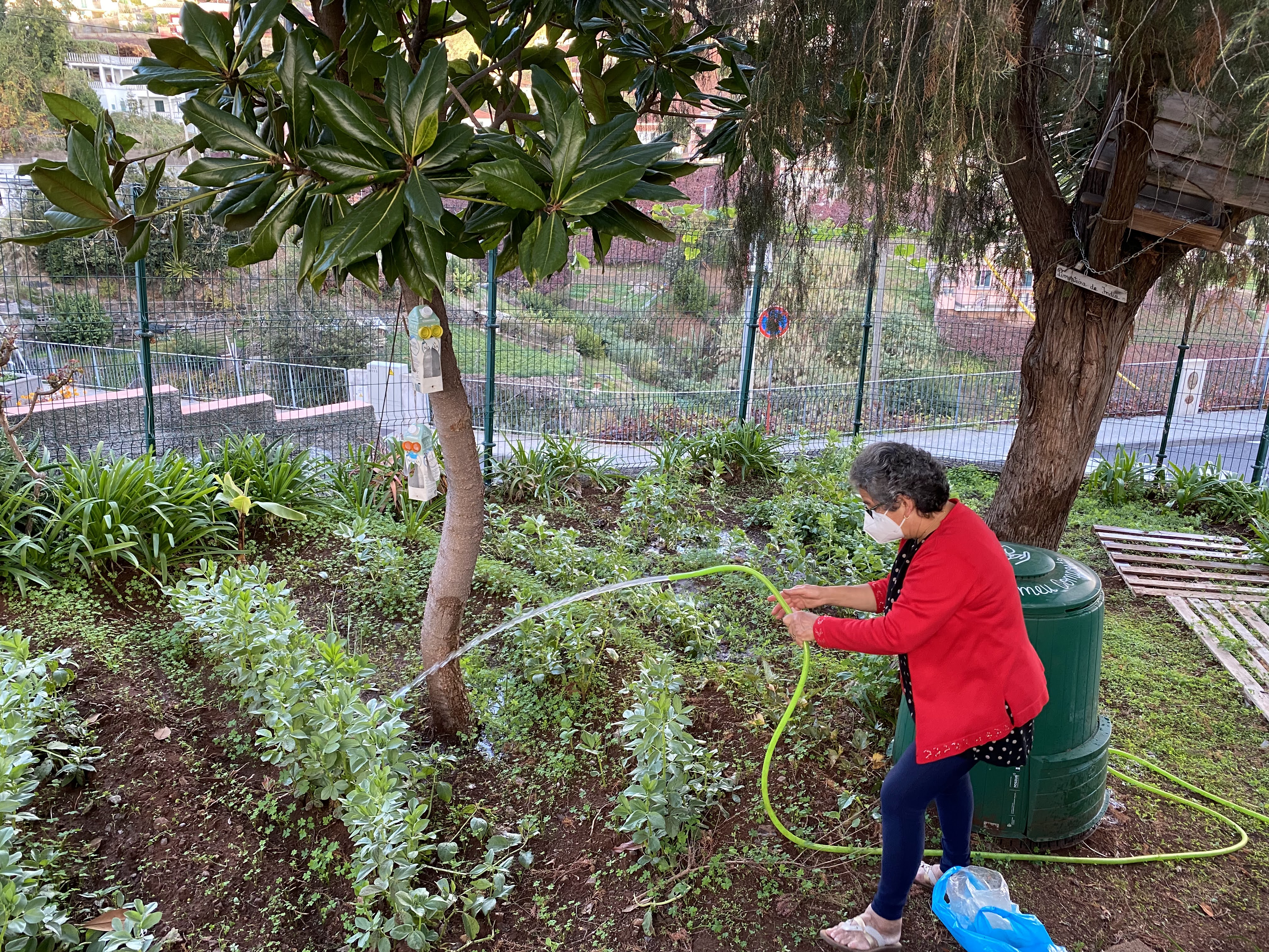 Alunos do Recorrente na manutenção da horta