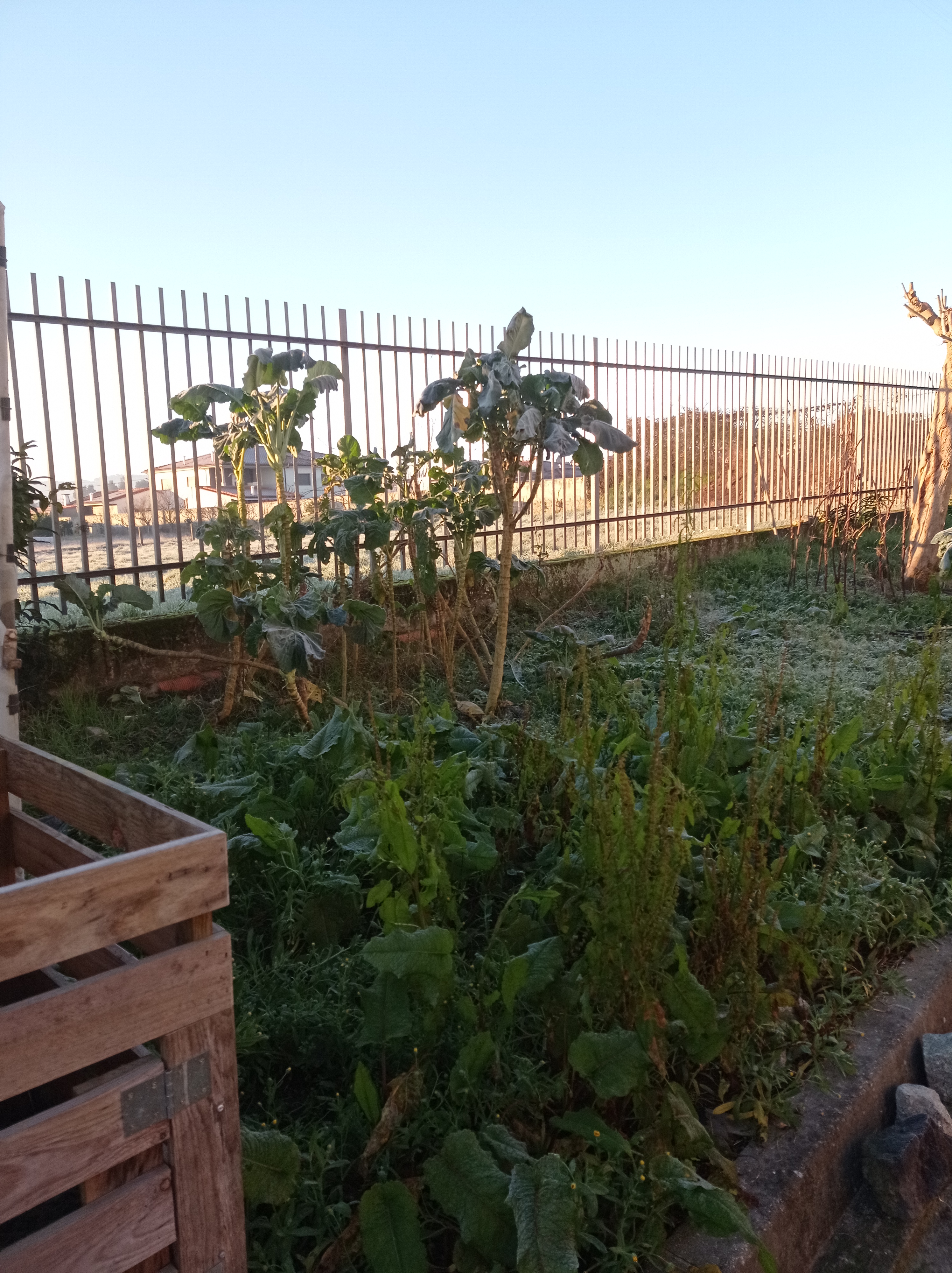 Compostagem: para ser usado a ensinar e apender