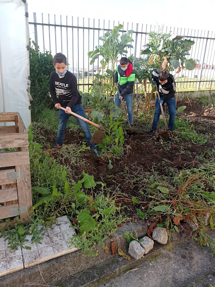 Preparar o terreno 1