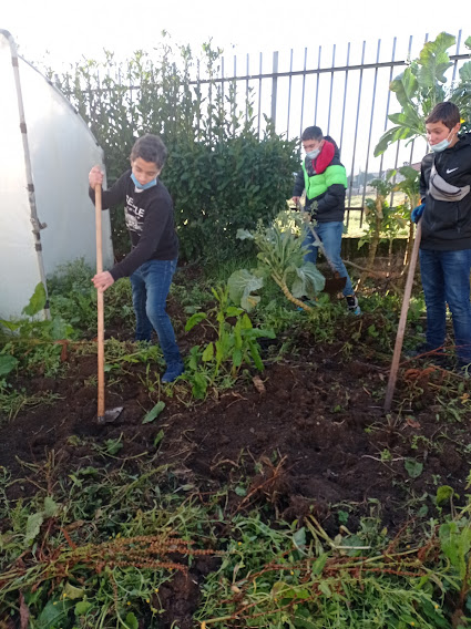 Preparar terreno 2