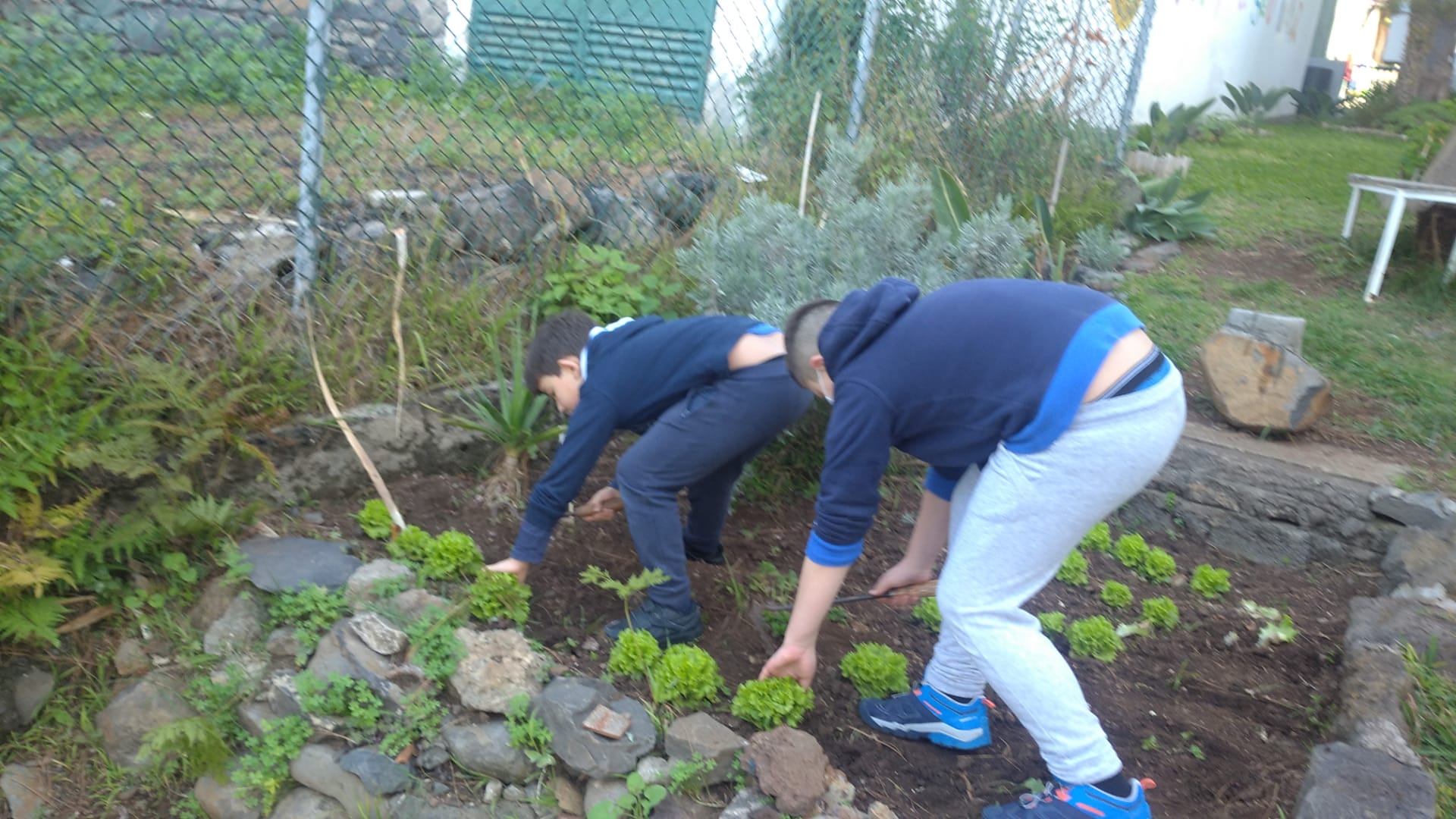 Na agricultura.