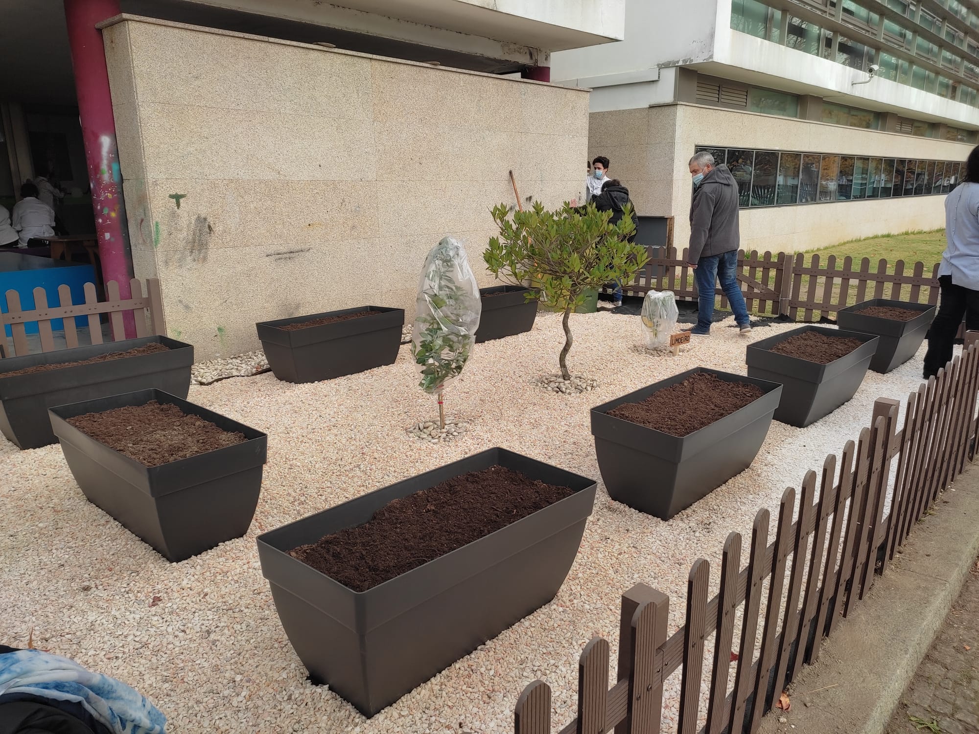 Testagem da disposição do jardim.