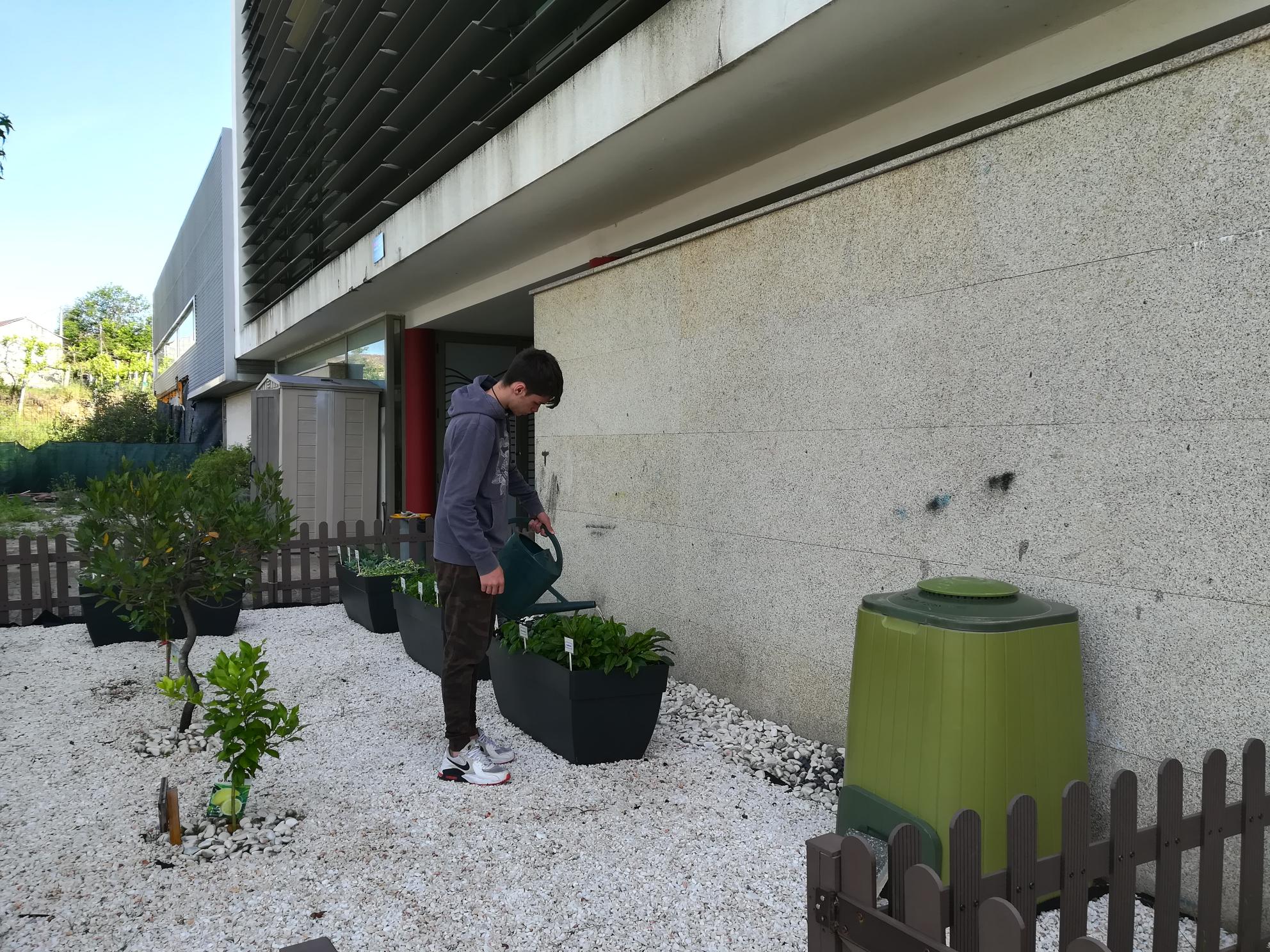 A rega a ser realizada pelos alunos do curso CEF-Empregado de Mesa