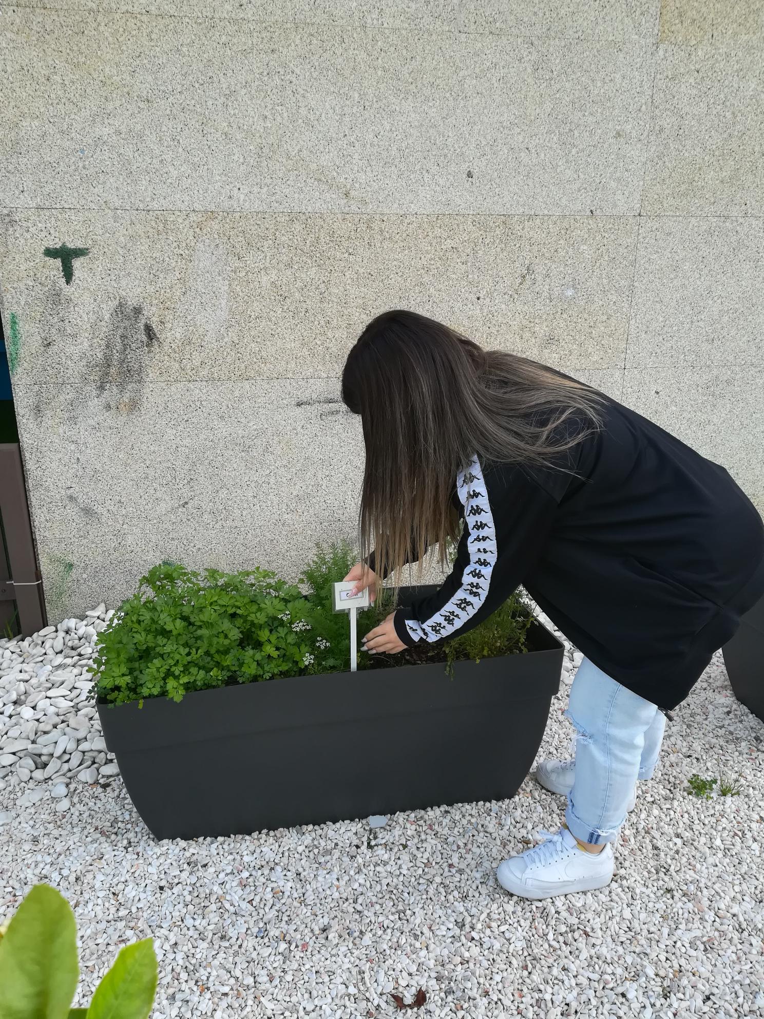 Altura da colocação das etiquetas em cada aromática.