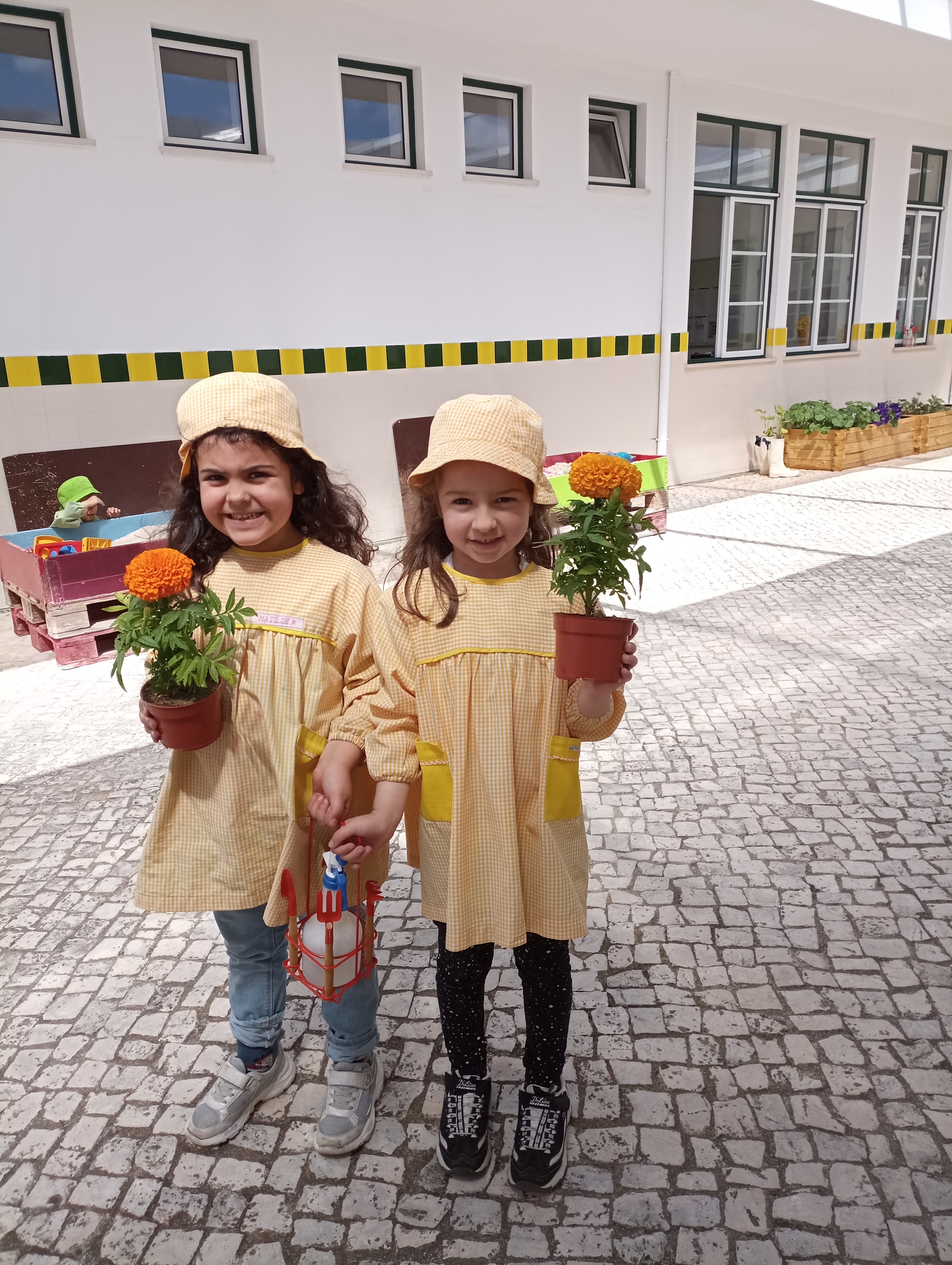 Combate com plantas aromáticas que afastam a praga de escaravelhos