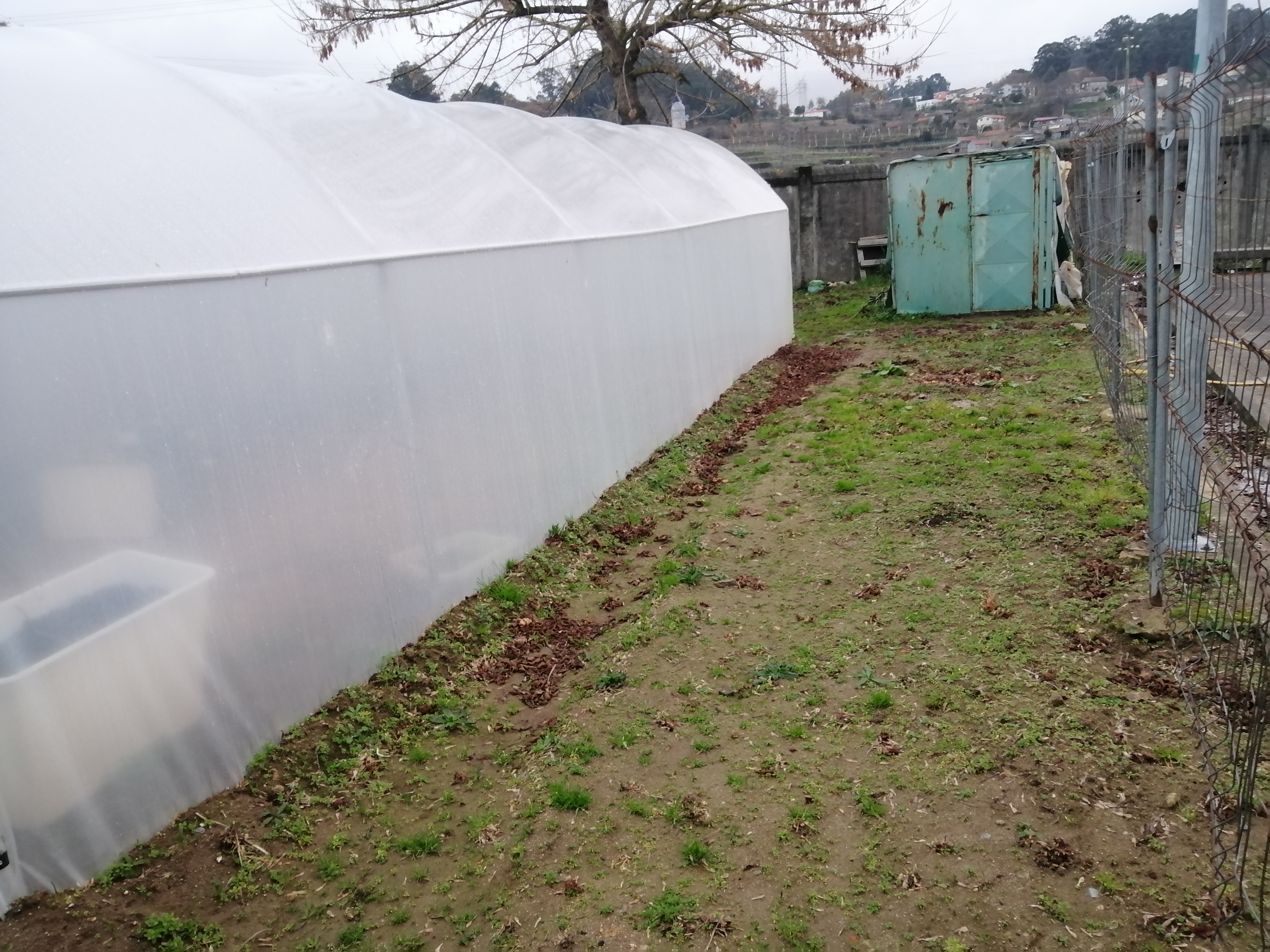 Espaço exterior lateral para cultivo