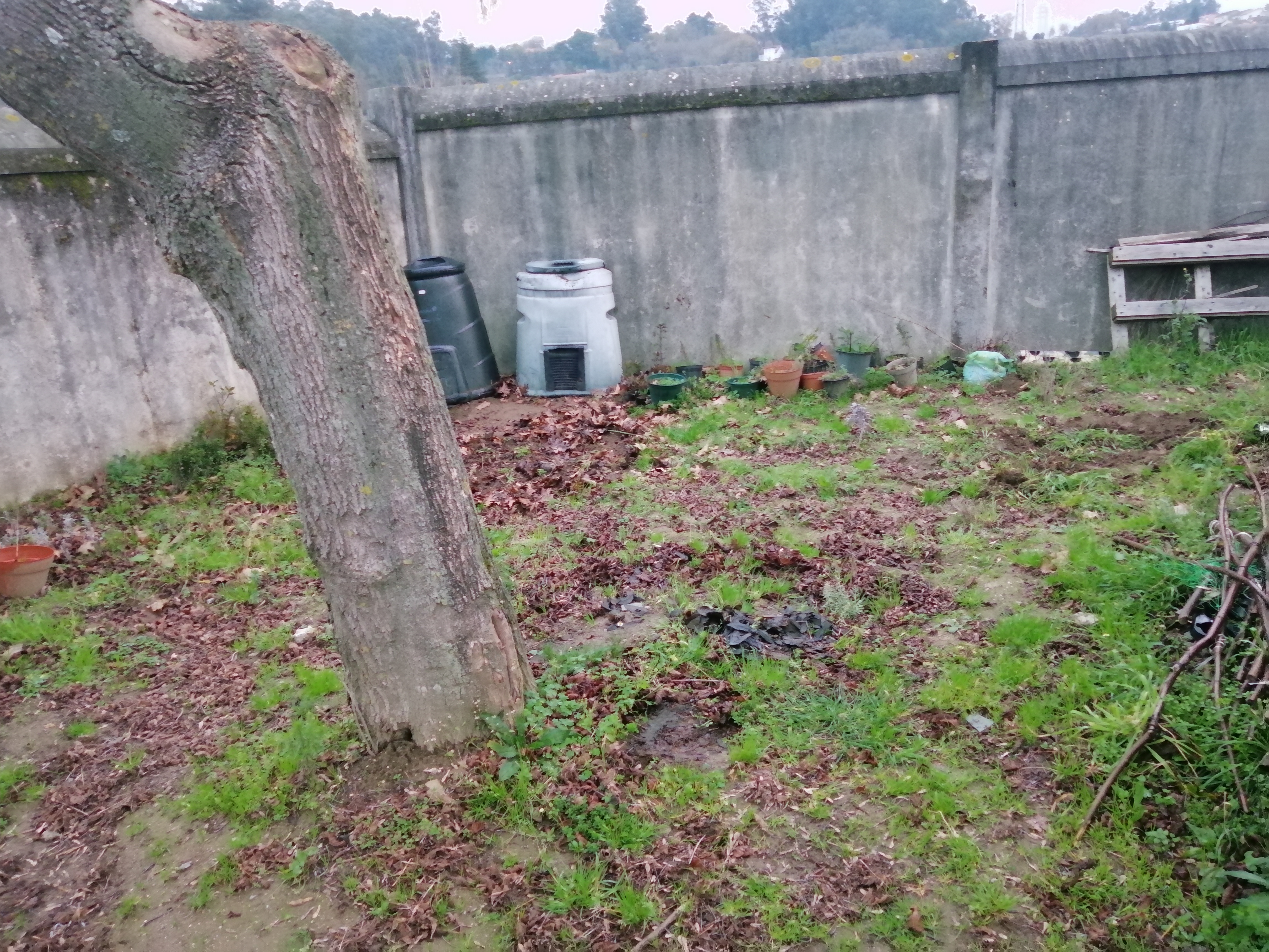 Espaço exterior de cultivo
