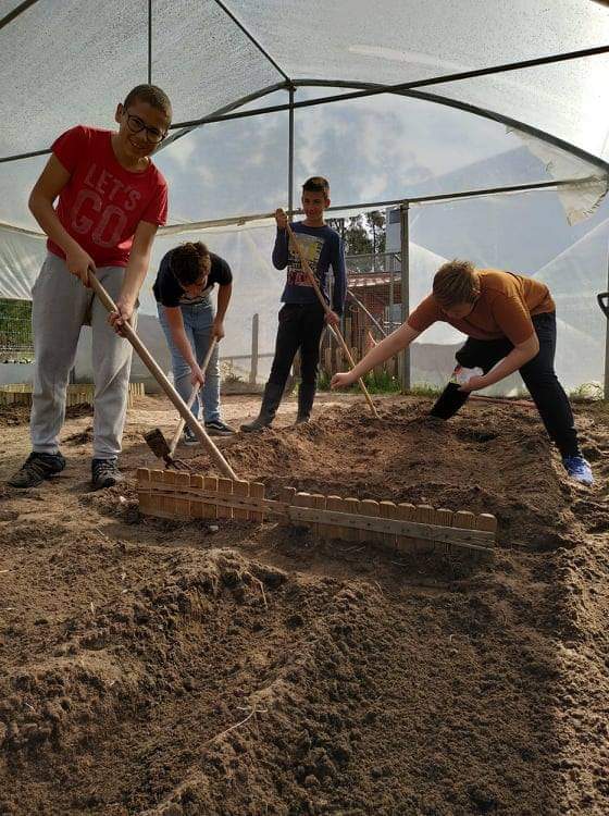 Espaço da nossa estufa em trabalho de preparação da terra.