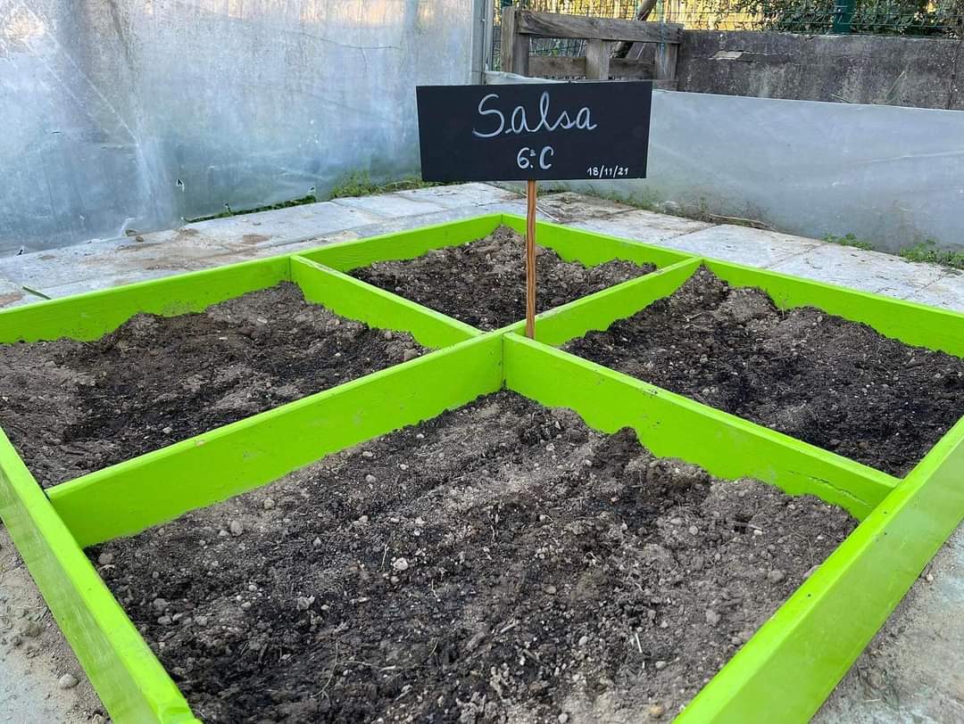 Canteiro trabalhado por uma turma do 6.ºC para plantar salsa.
