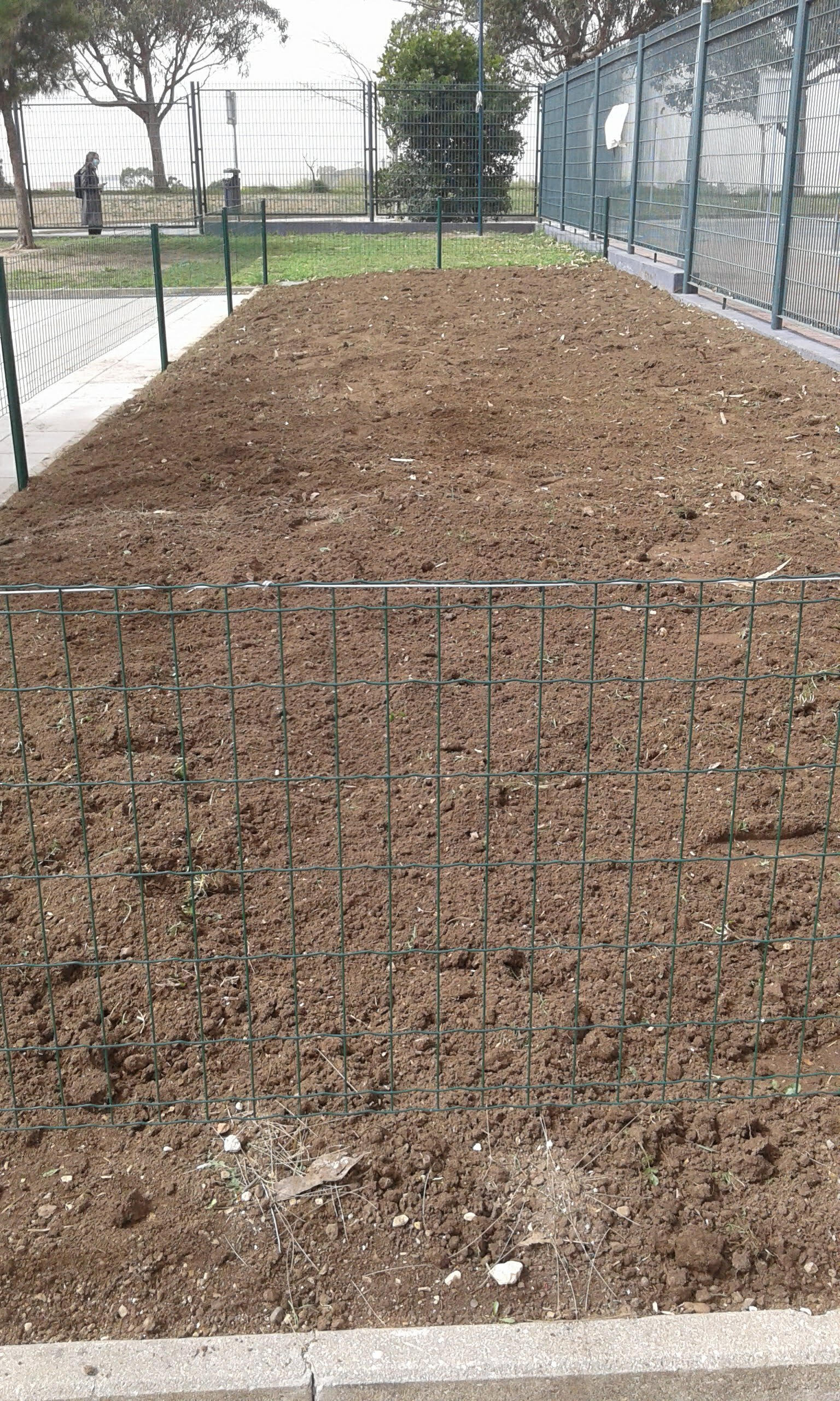 Terreno lavrado.