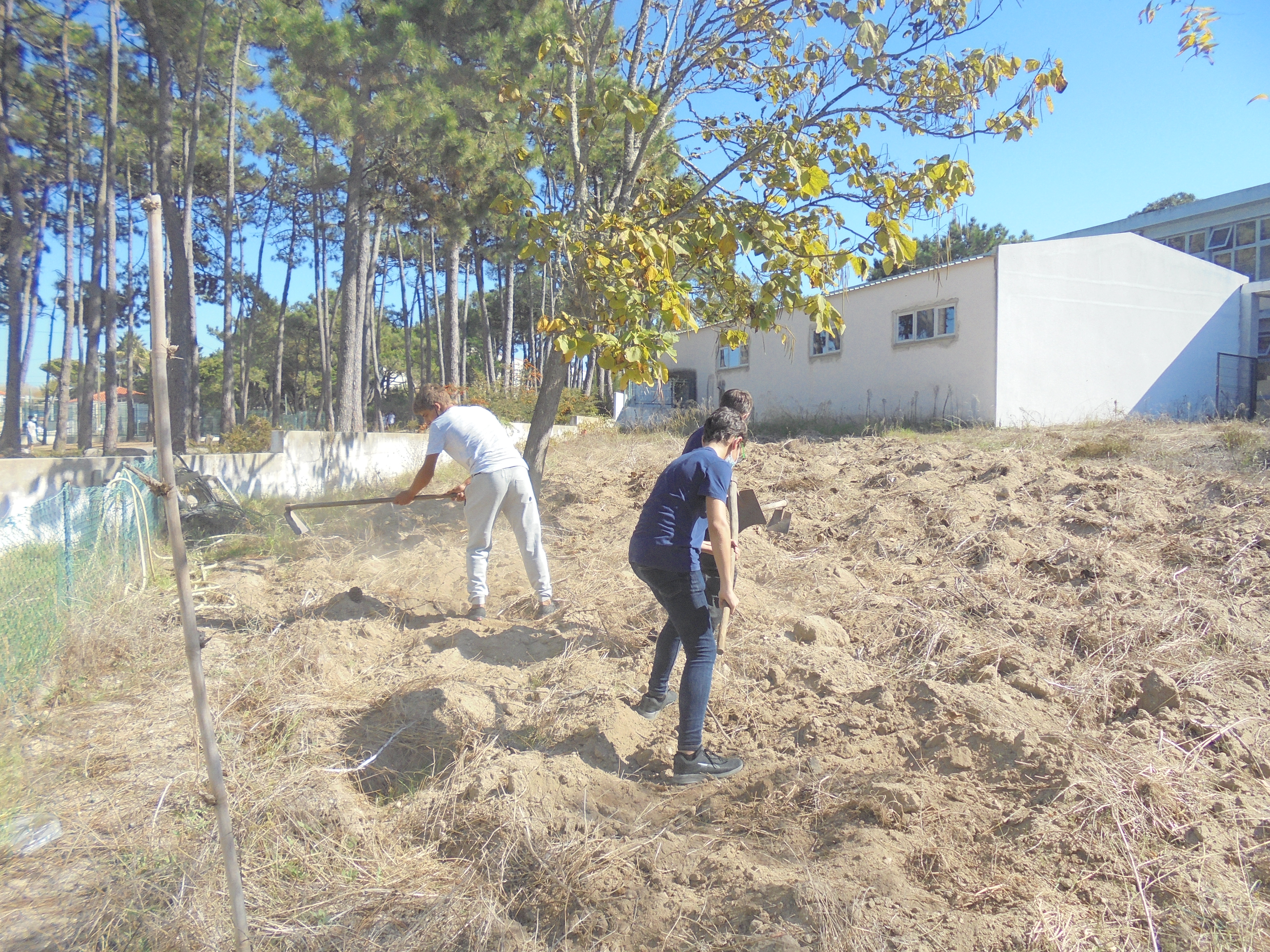 Trabalho de preparação do terreno.