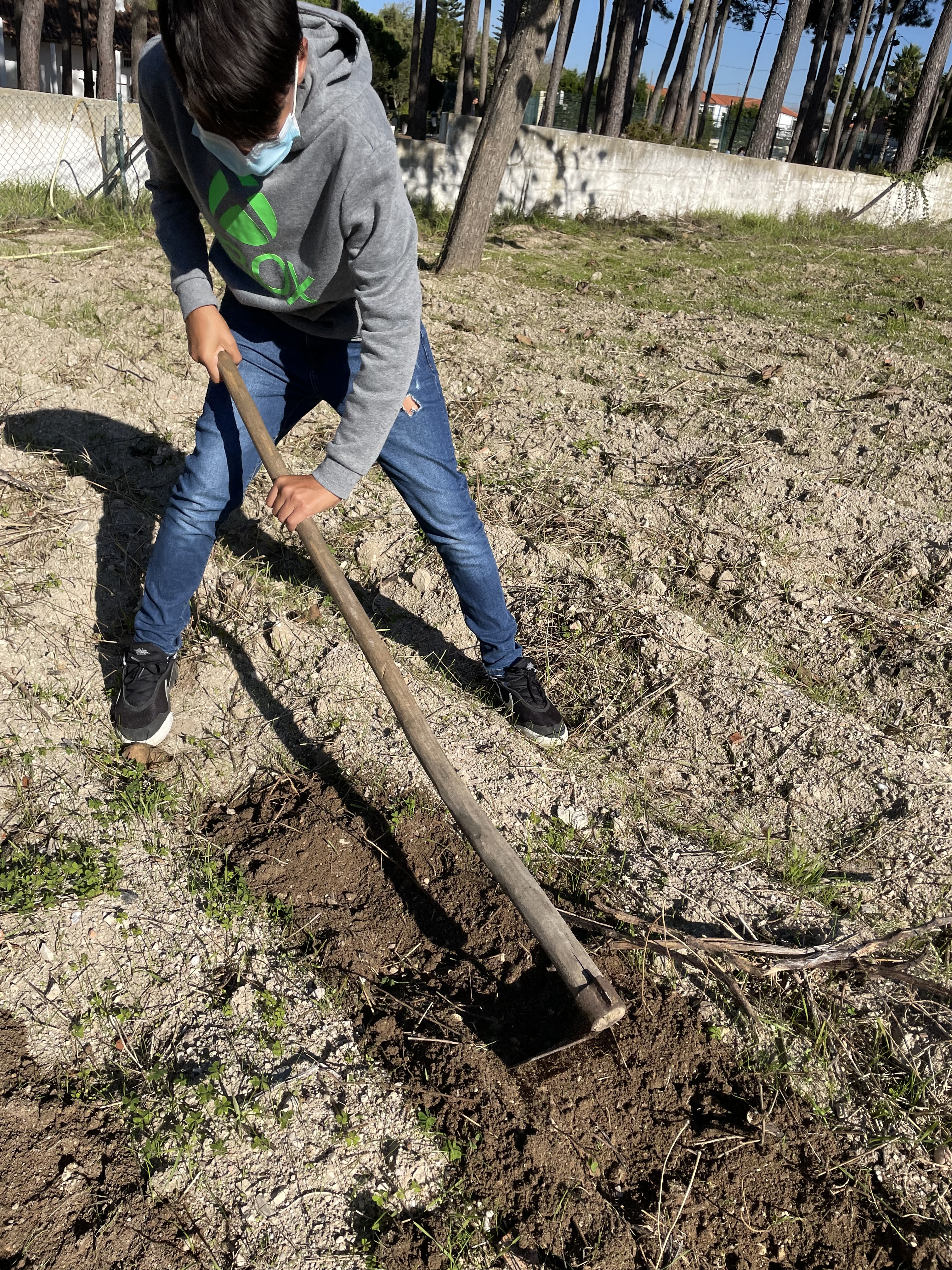 Trabalho de preparação do terreno.
