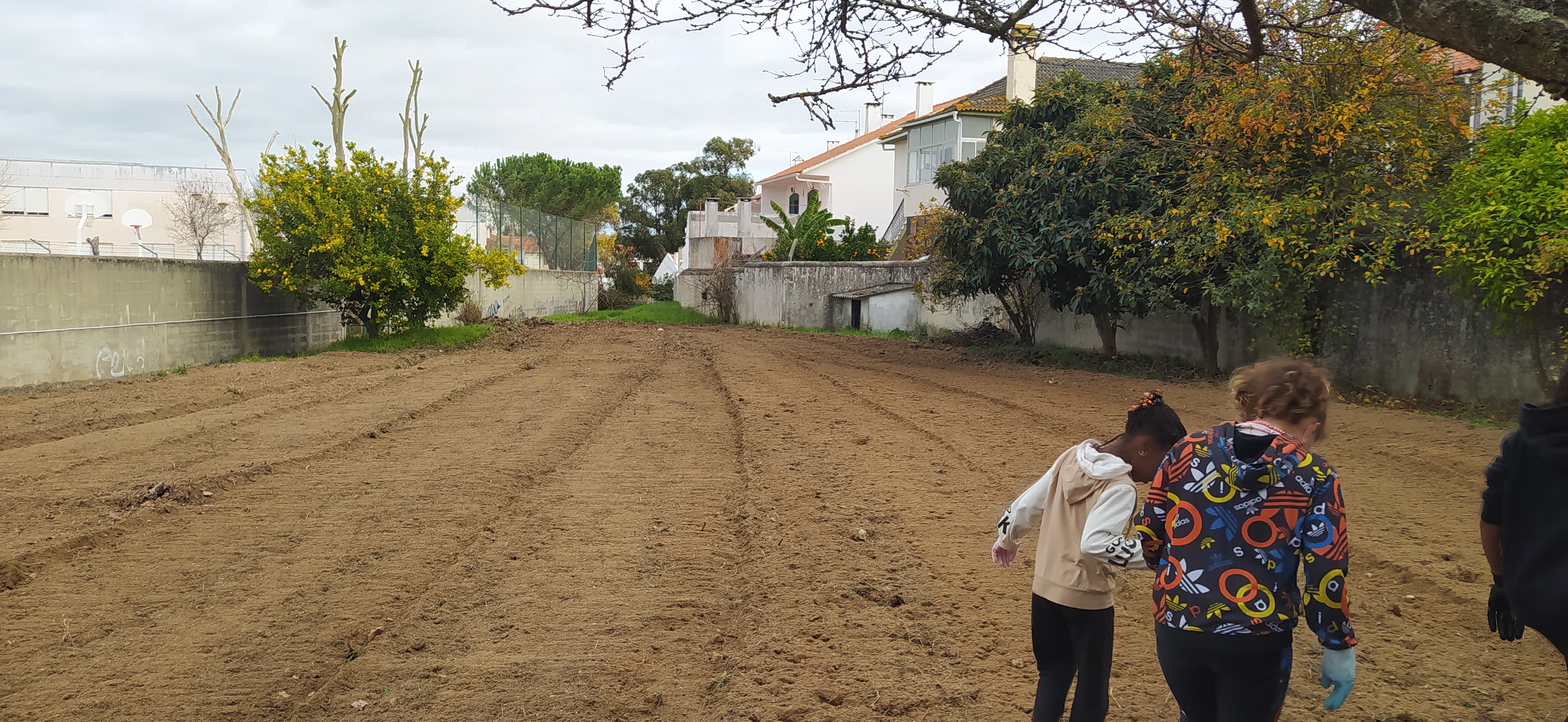 Depois de limpo o  terreno, foi lavrado.