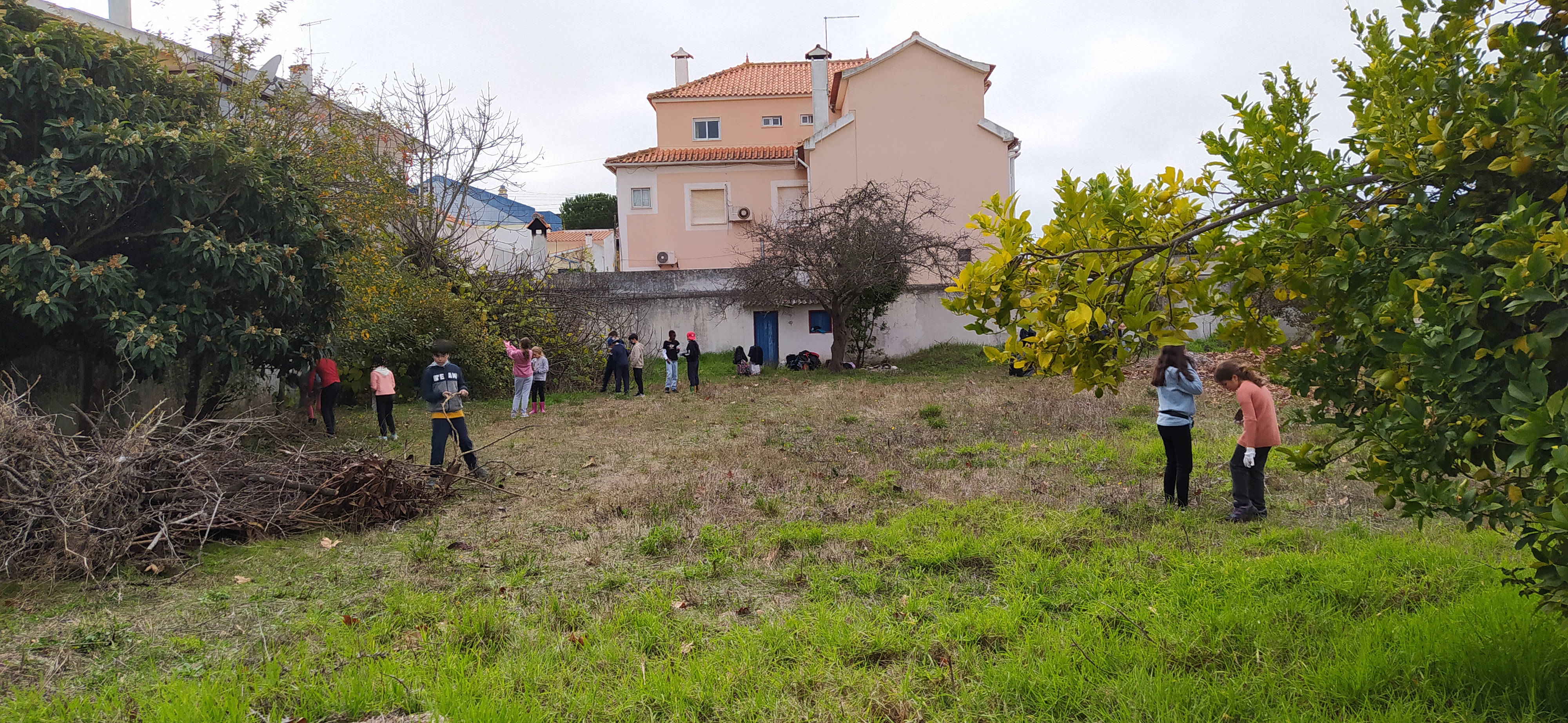 Terreno para a nossa horta.