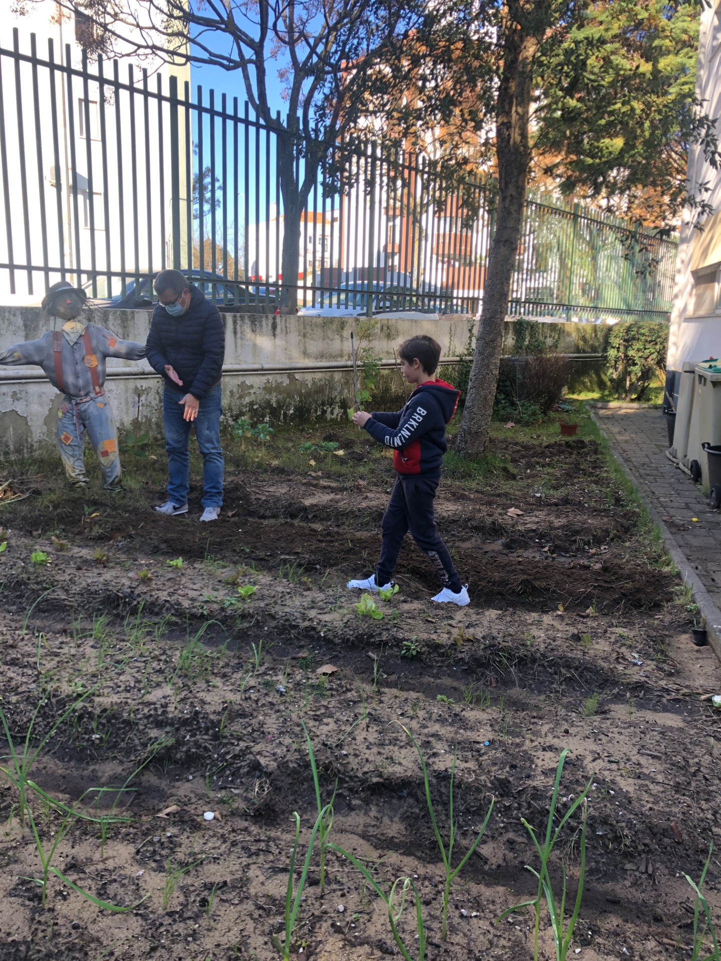 Plantação 2