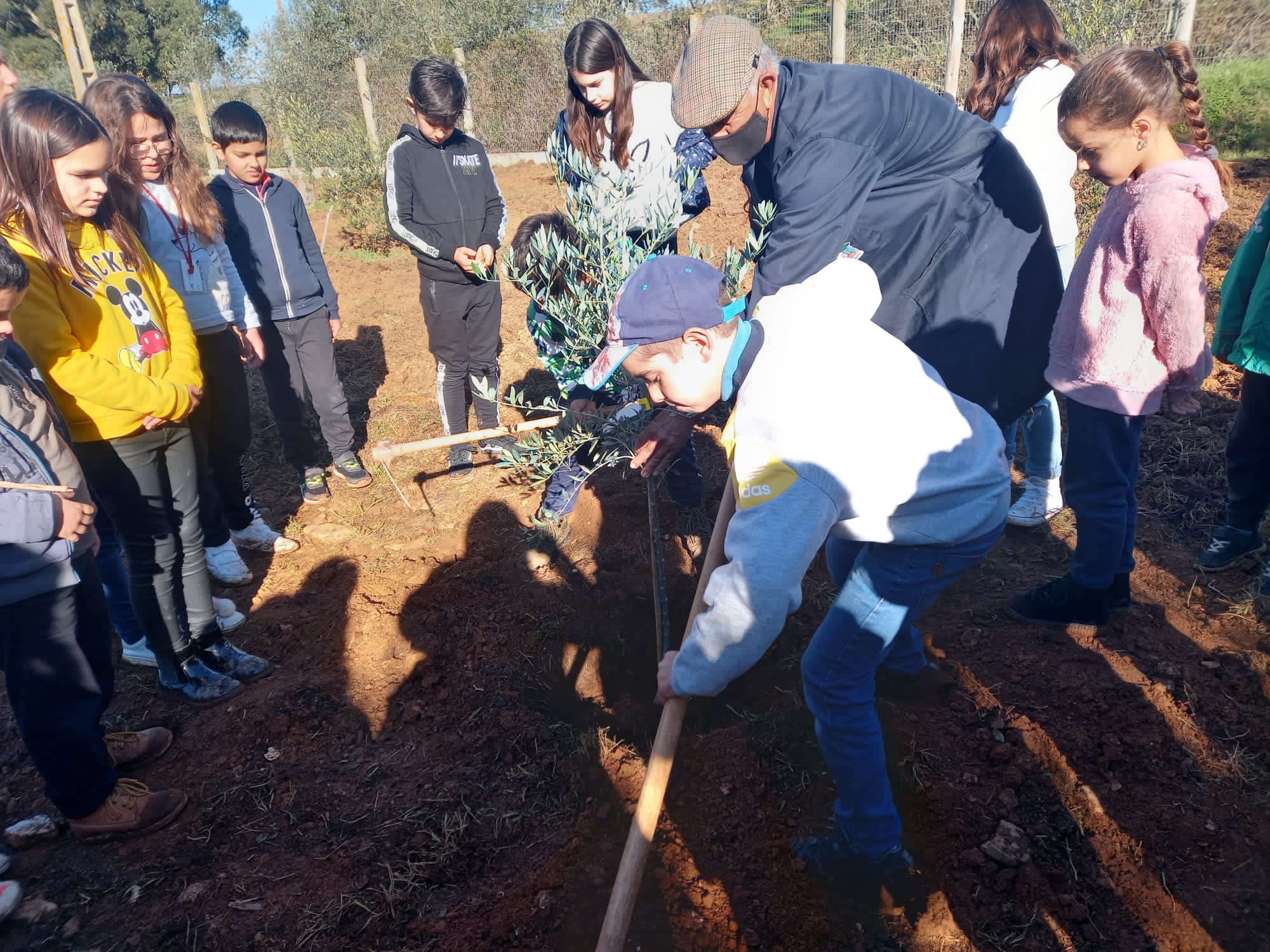 Evolução do estado da horta. Dez 21