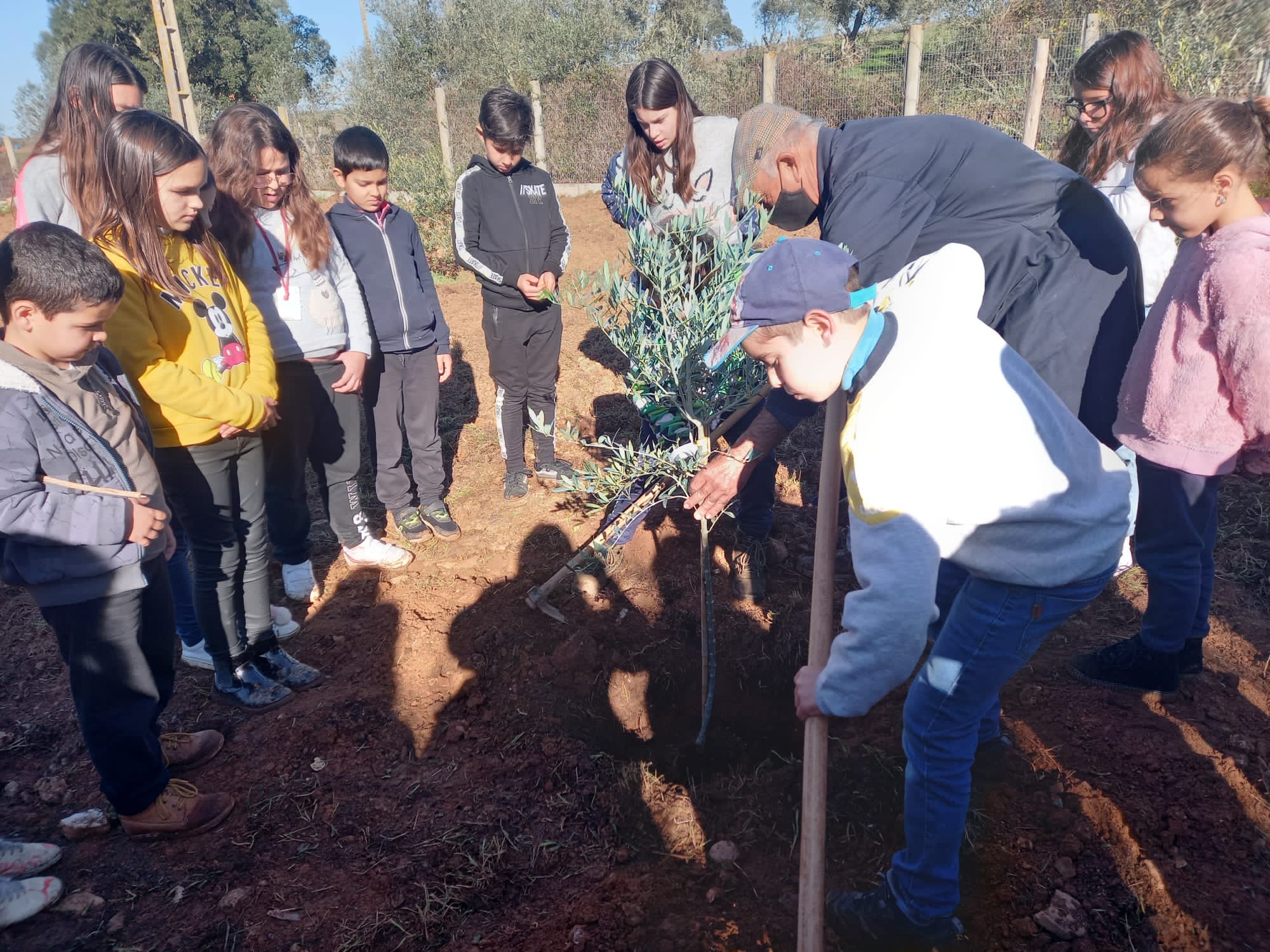 Preparação do terreno para plantio, pelos alunos do 4º ano e do auxiliar de ação educativa, acompanhados do professor titular.
